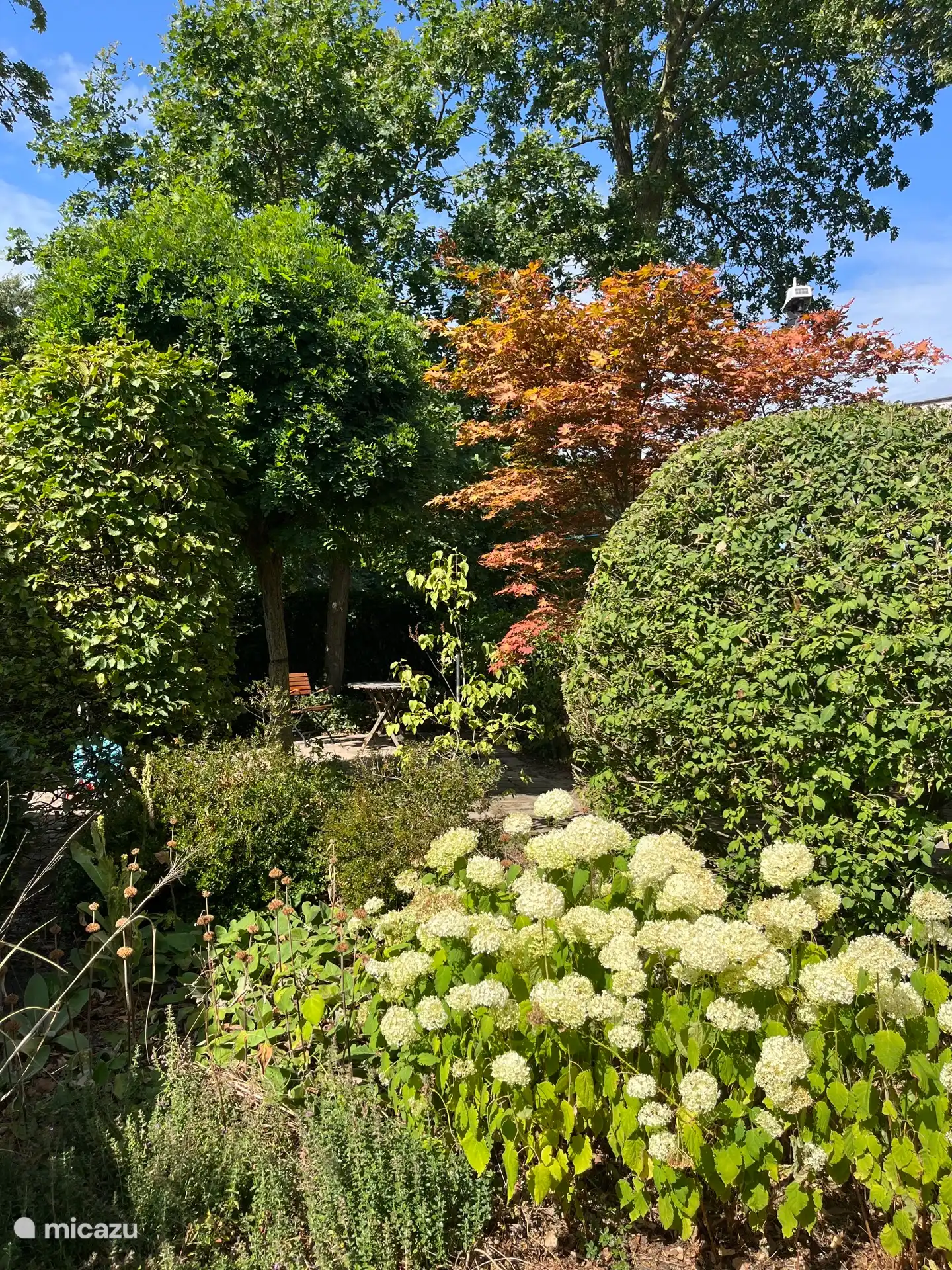 Jardin