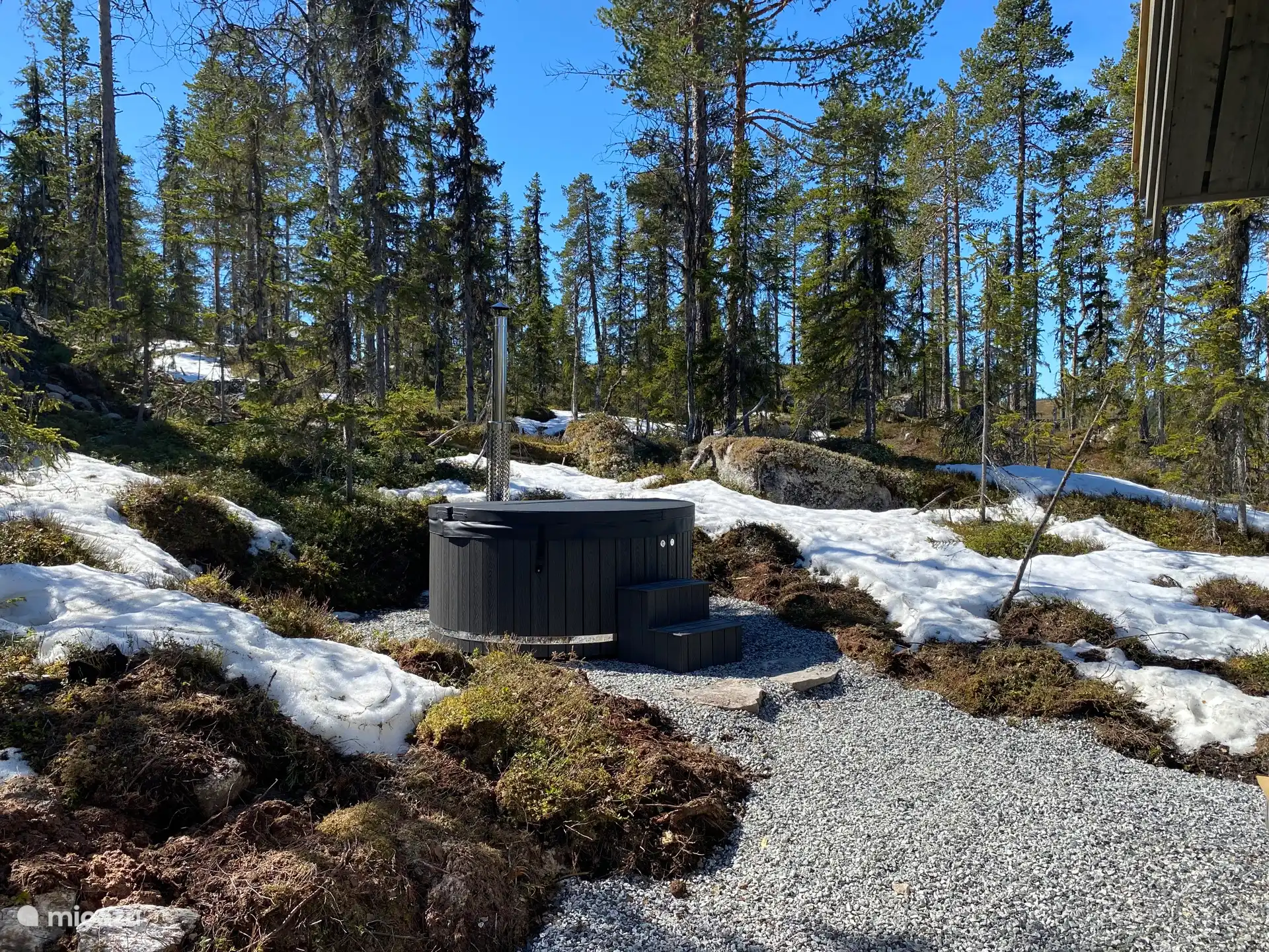 Bain jacuzzi au bois au printemps
