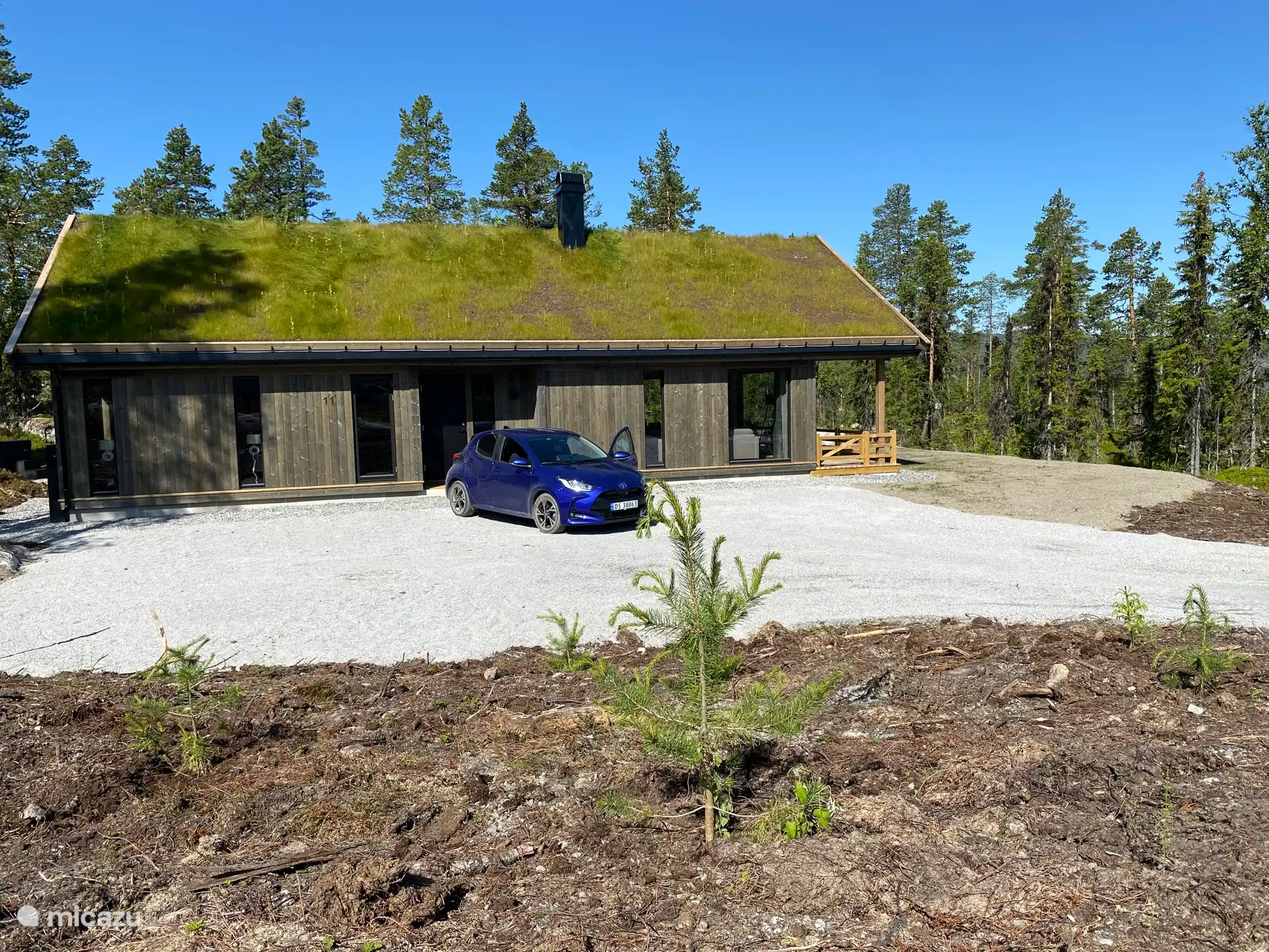 Fjellstua in de zomer