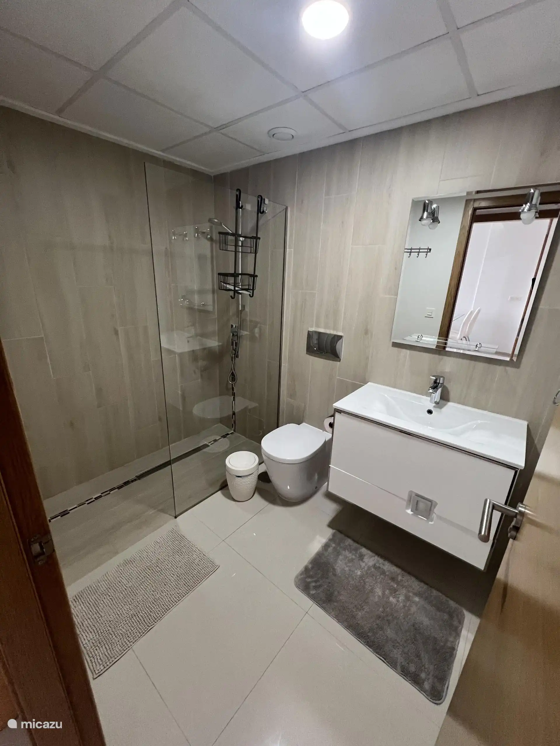 Deuxième salle de bain avec douche à l’italienne et toilettes.