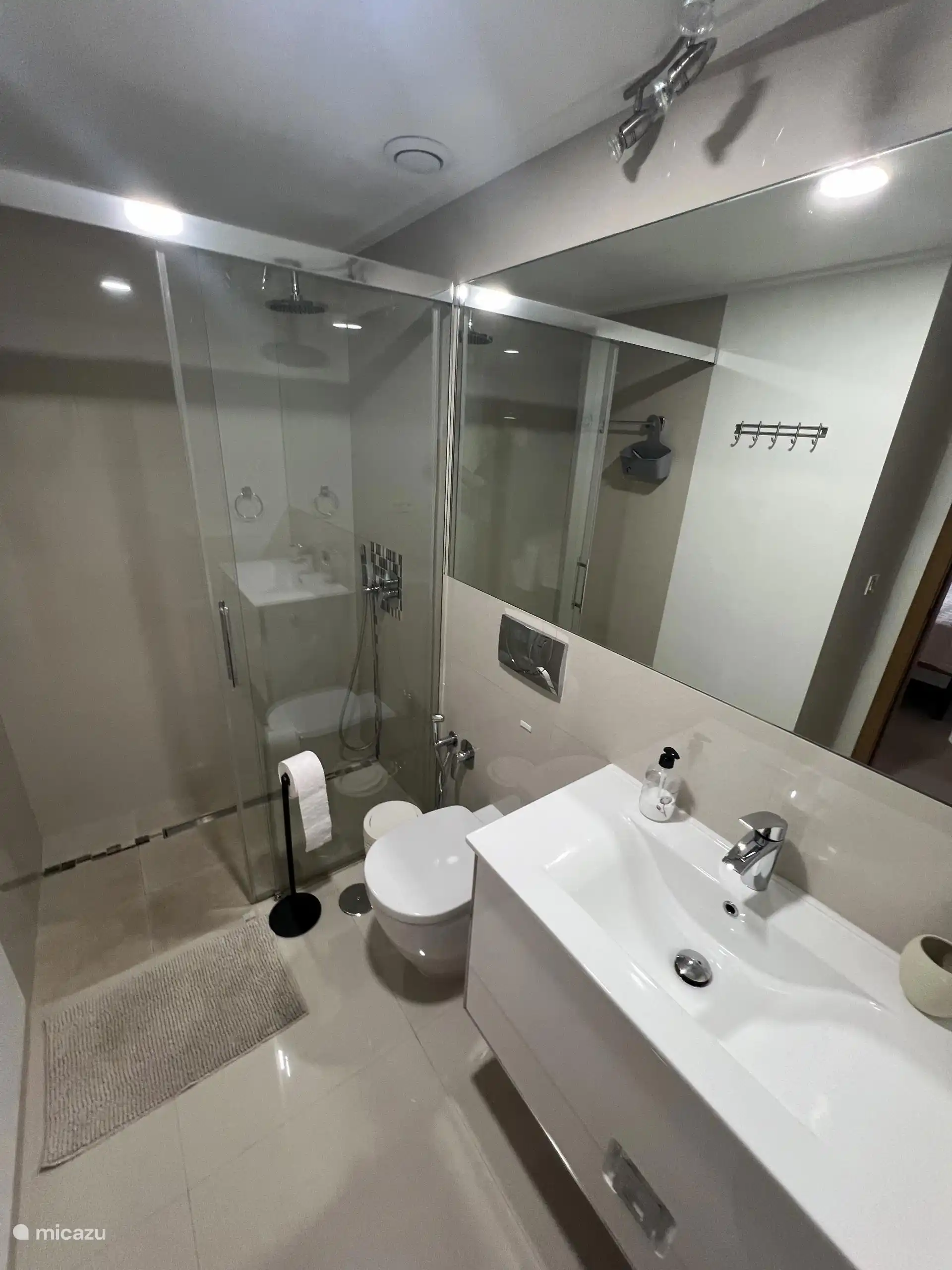 Salle de bain attenante de la chambre principale avec douche à italienne et toilettes.