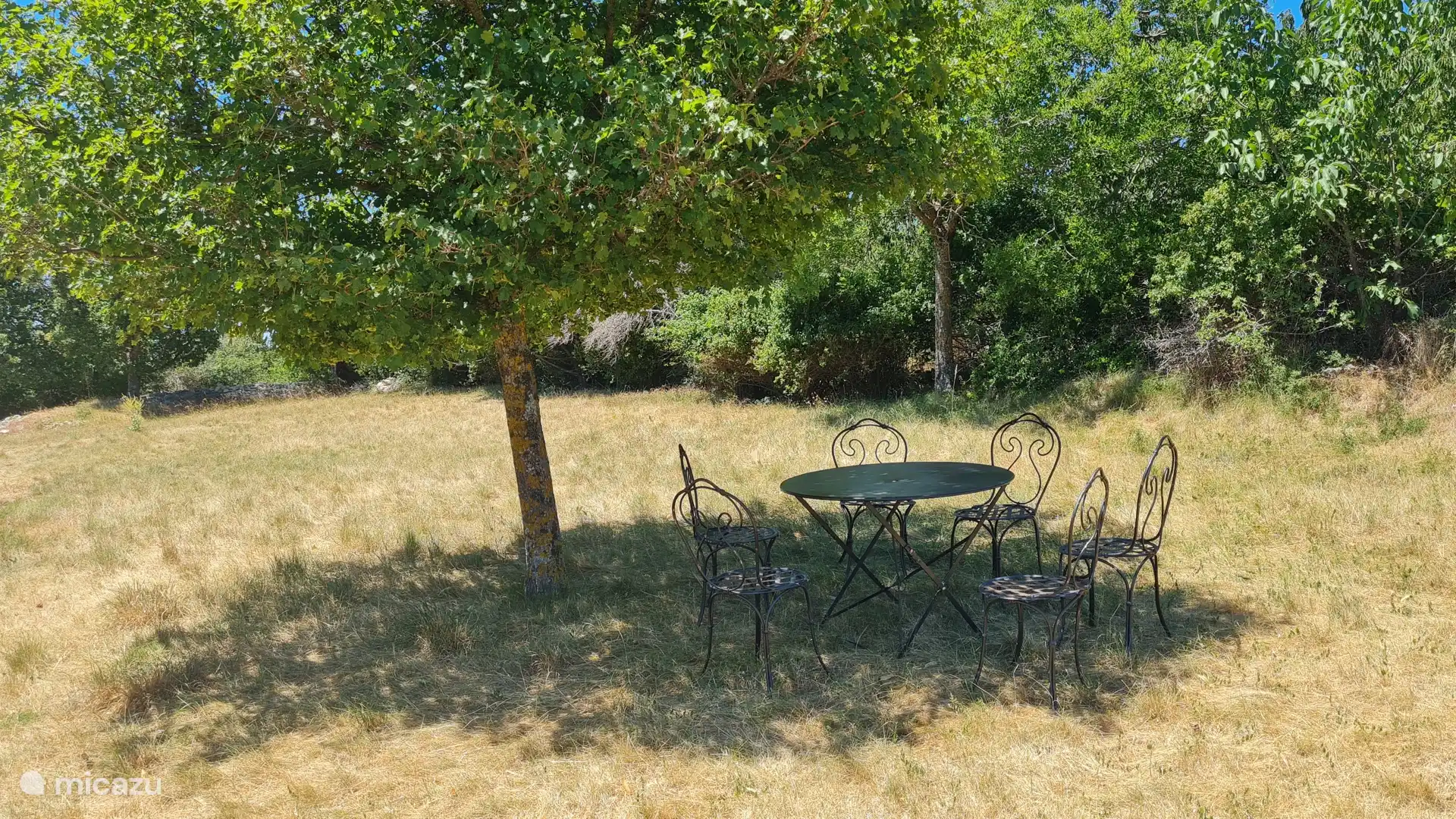 De tuin aan de noordkant.