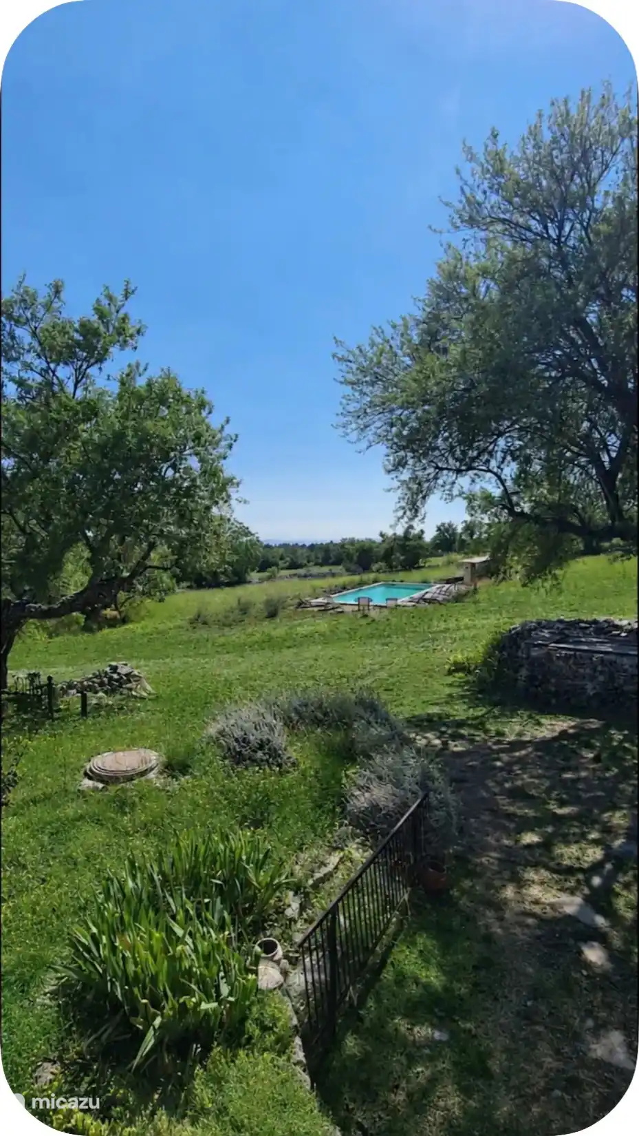 La piscina en medio de la naturaleza