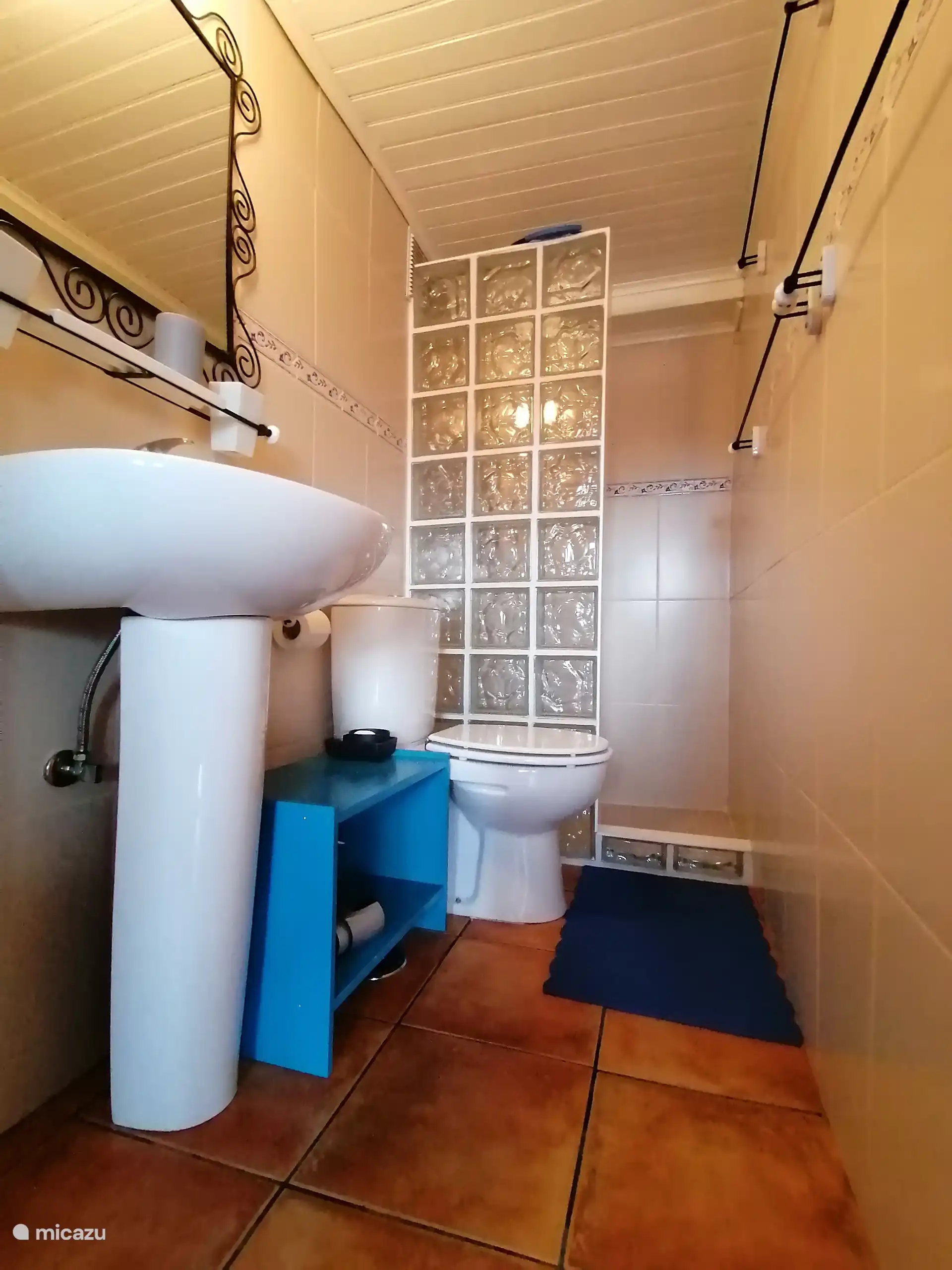 Bathroom, shower + WC