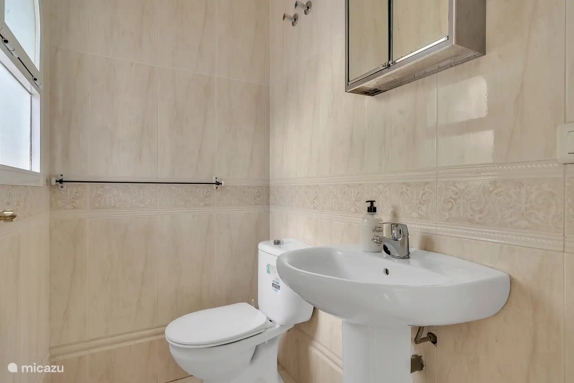 Badkamer met douche, toilet en wastafel.