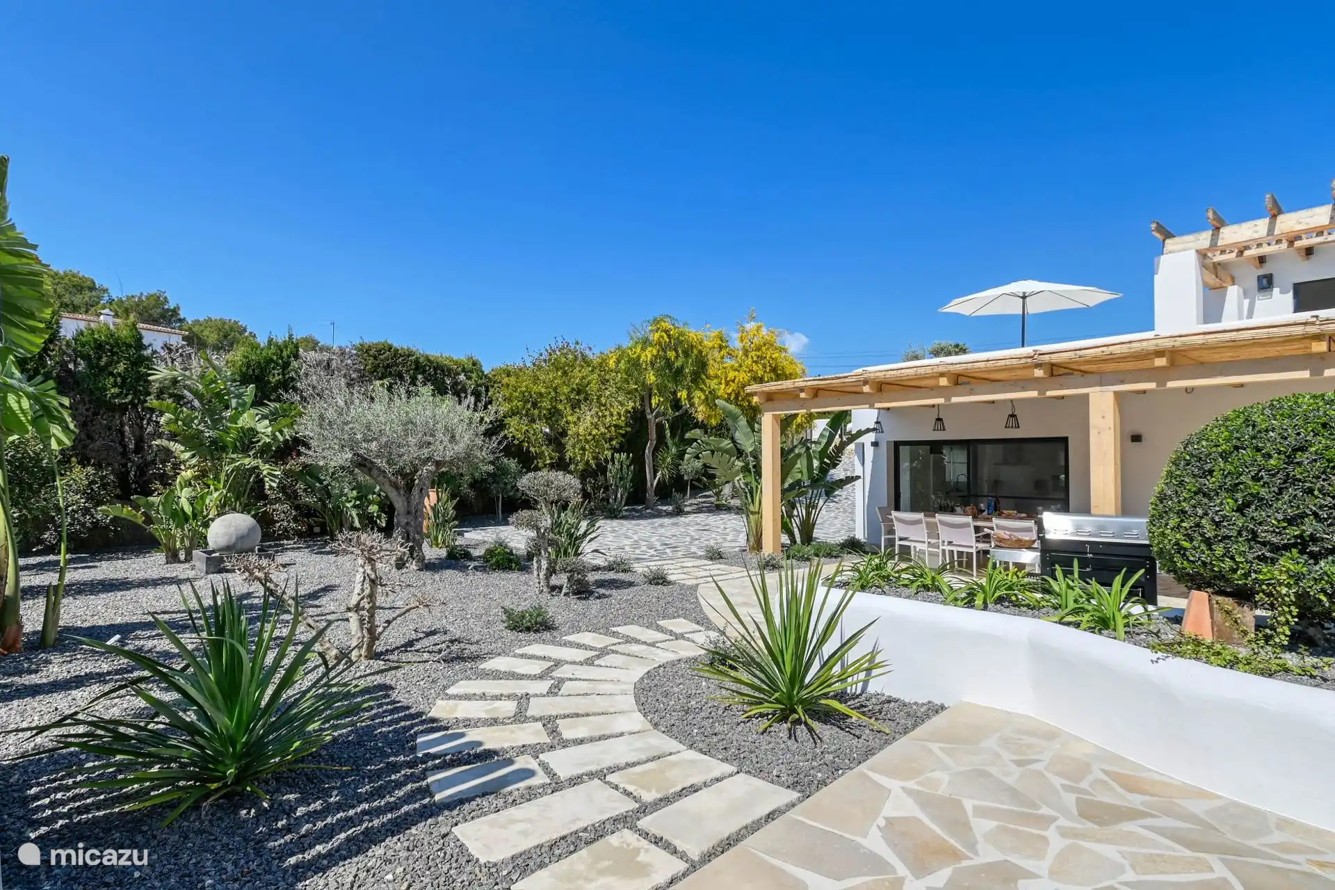 From pergola view of the beautiful new garden full of plants and flowers