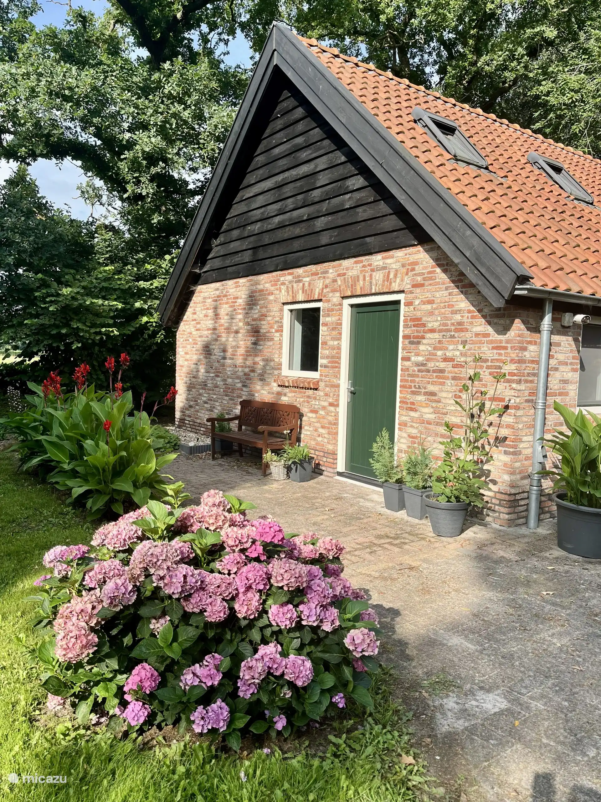 bed & breakfast huren in Nederland, Drenthe, Eexterzandvoort – B&B 't Swieneverblief