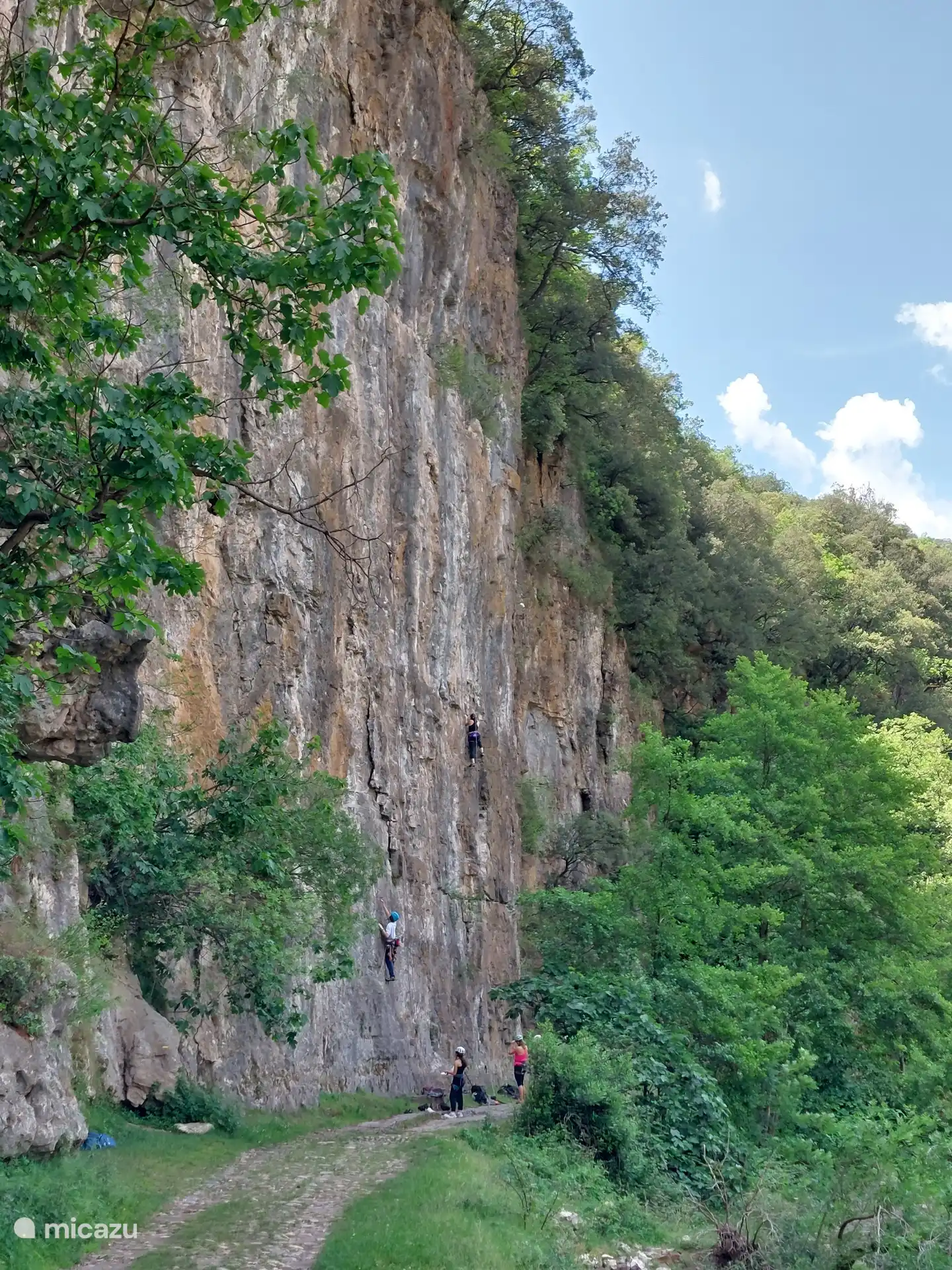 Klimwand voor sportliefhebbers