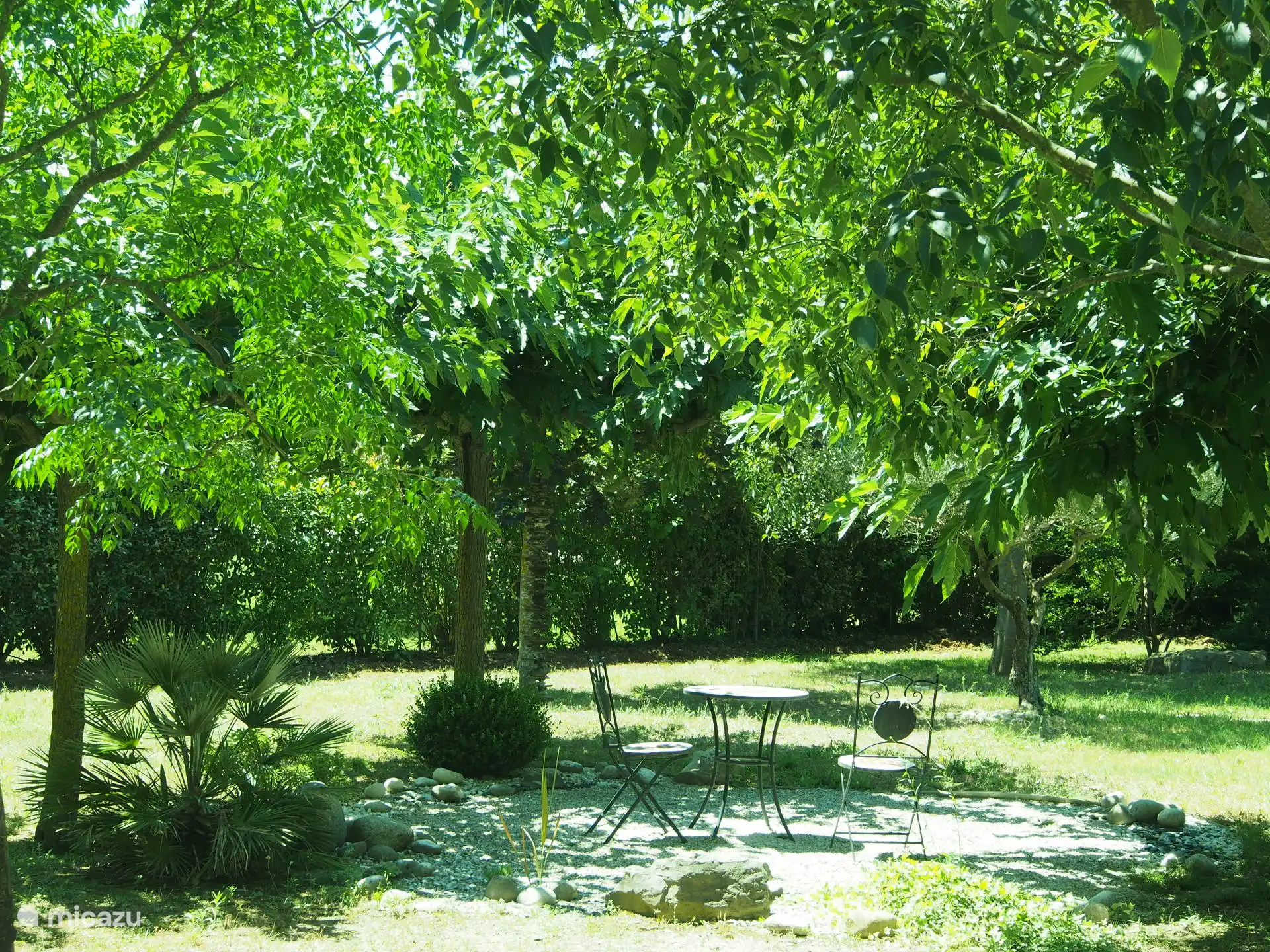 The Zen space under the mulberry plane trees