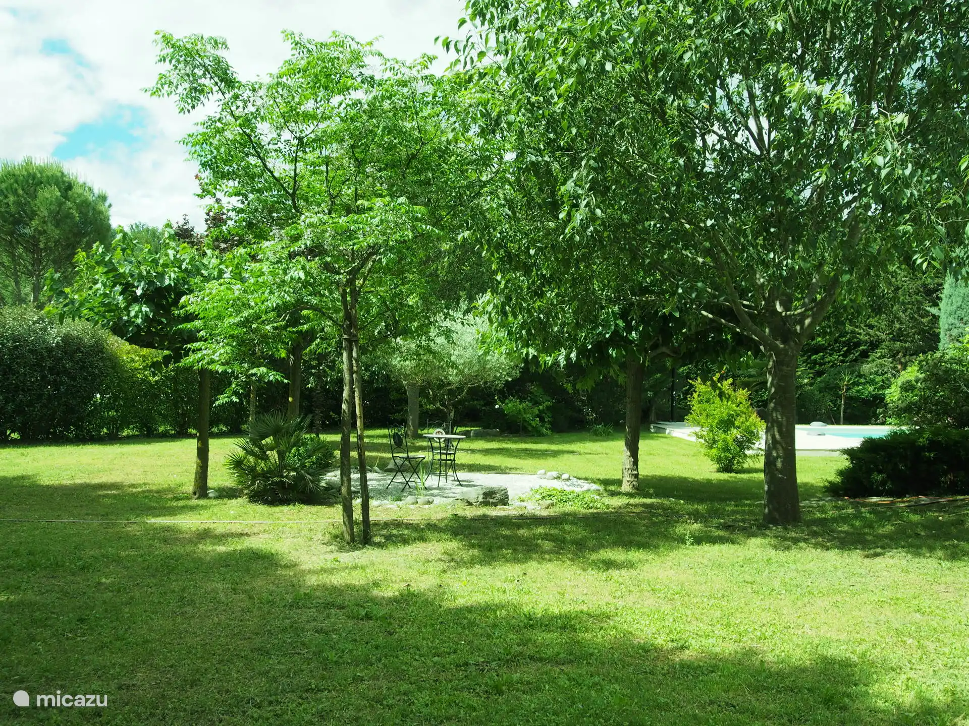 The Zen Space