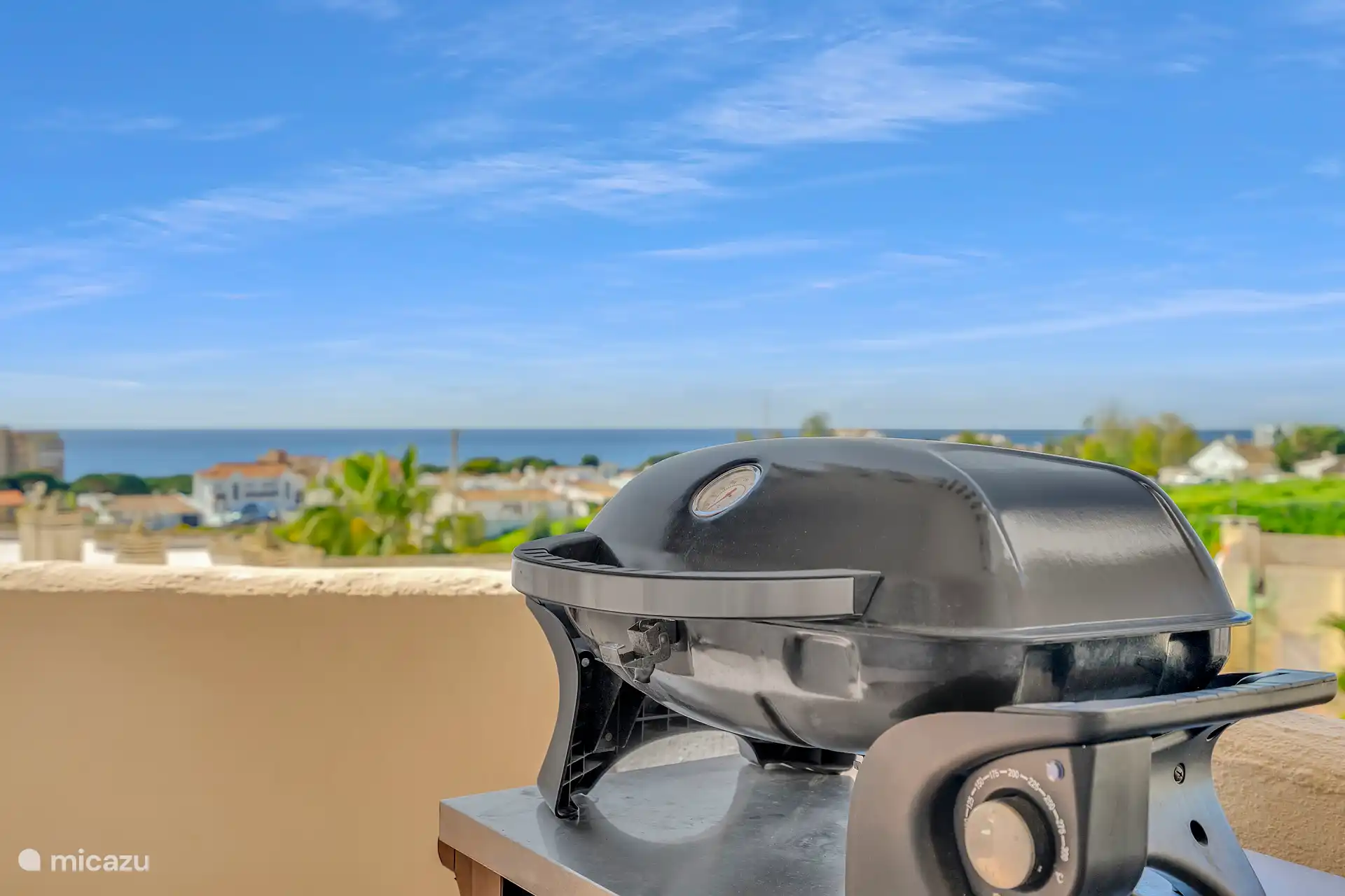 Barbecue électrique (optionnel).