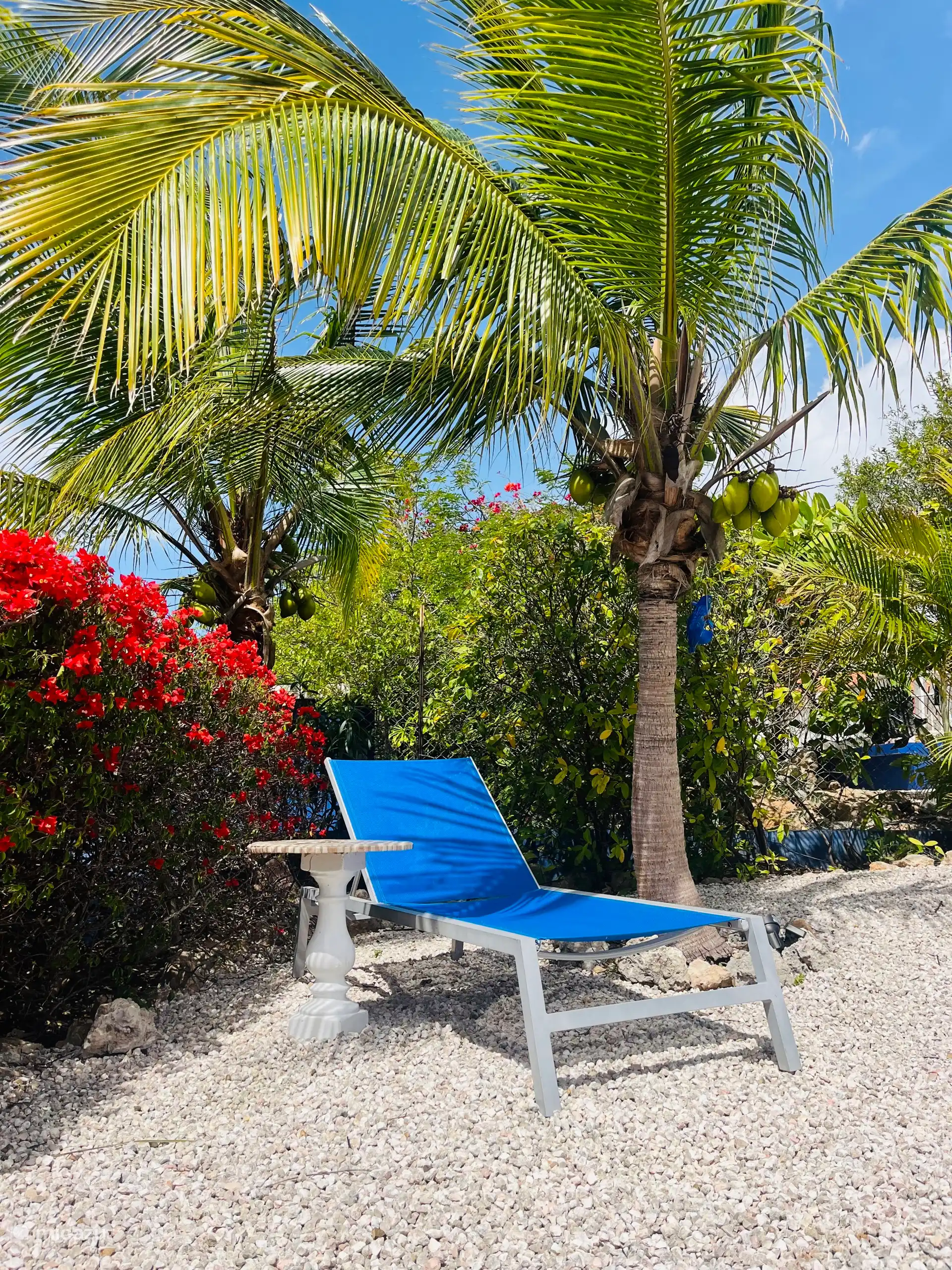 Onder de palmboom momentje