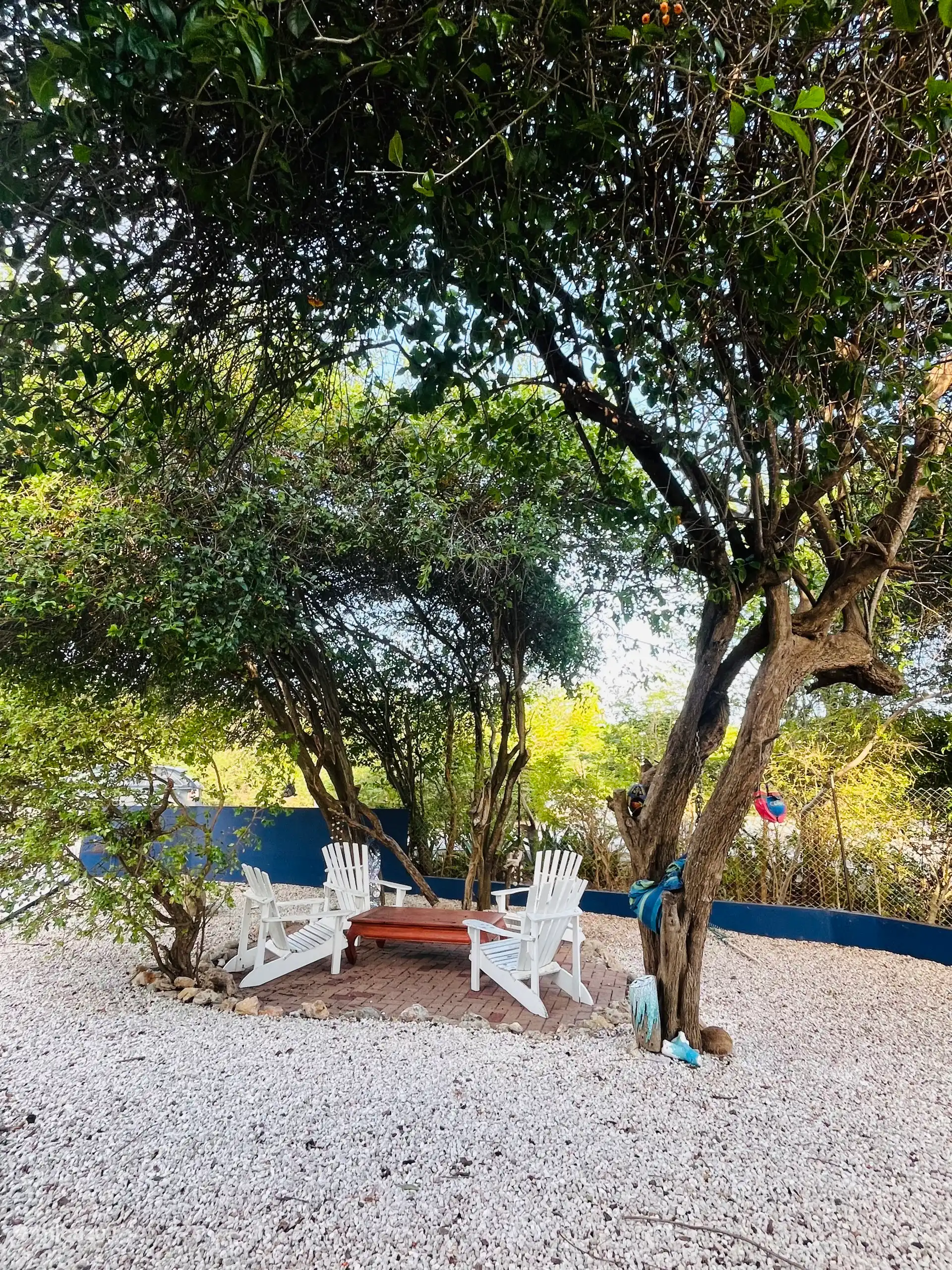 In de namiddag als je in de schaduw en in het windje, je even wil terugtrekken onder het gefilterde licht van de bomen. Gewoon een boekje lezen of je vrienden appen vanuit de hangmat.  