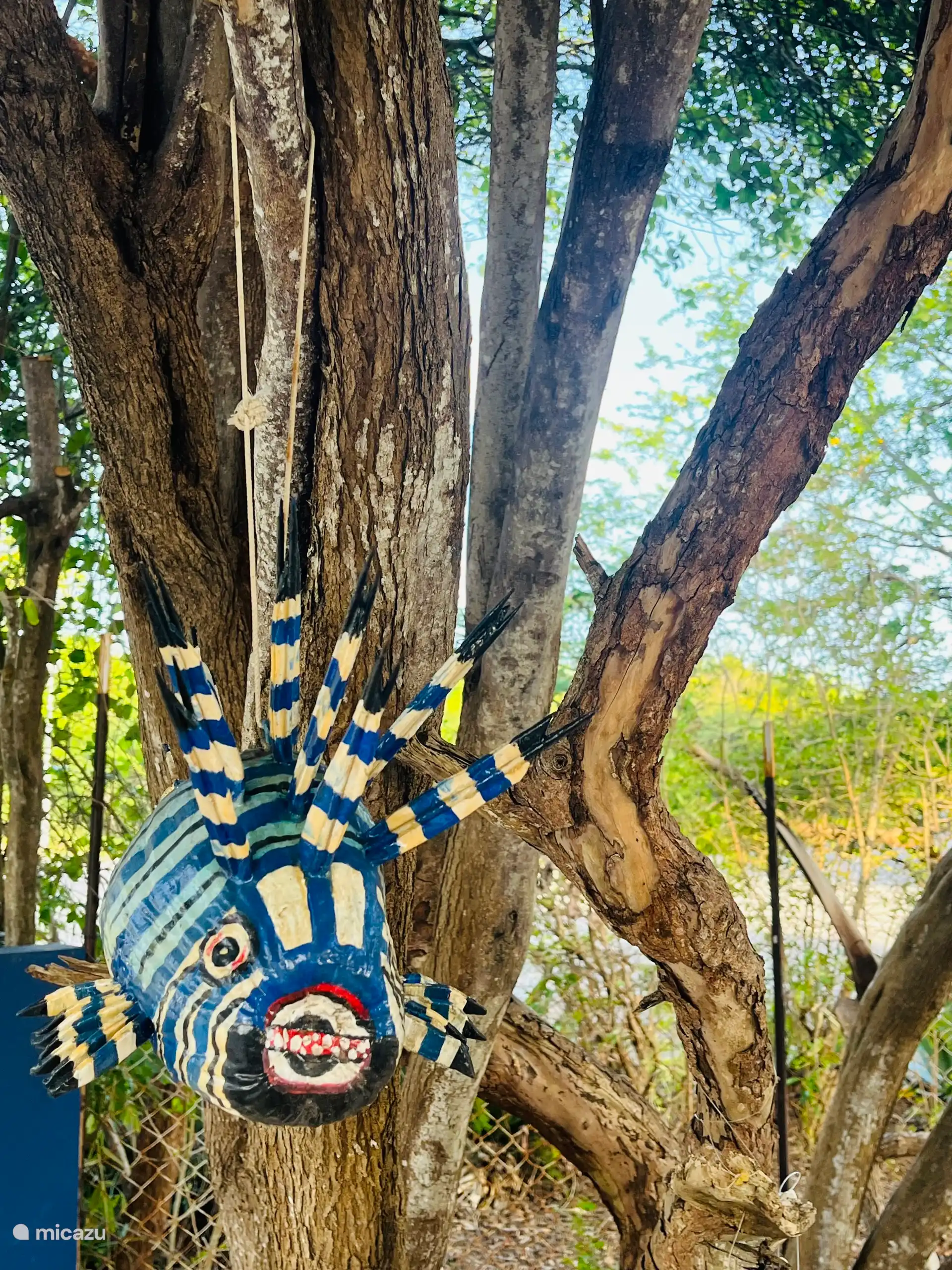 Wie herkent deze vis?