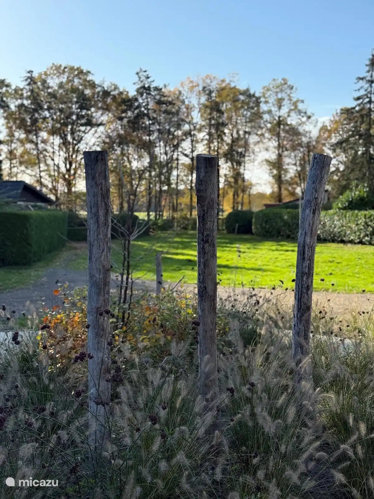 Doorkijk vanaf het terras