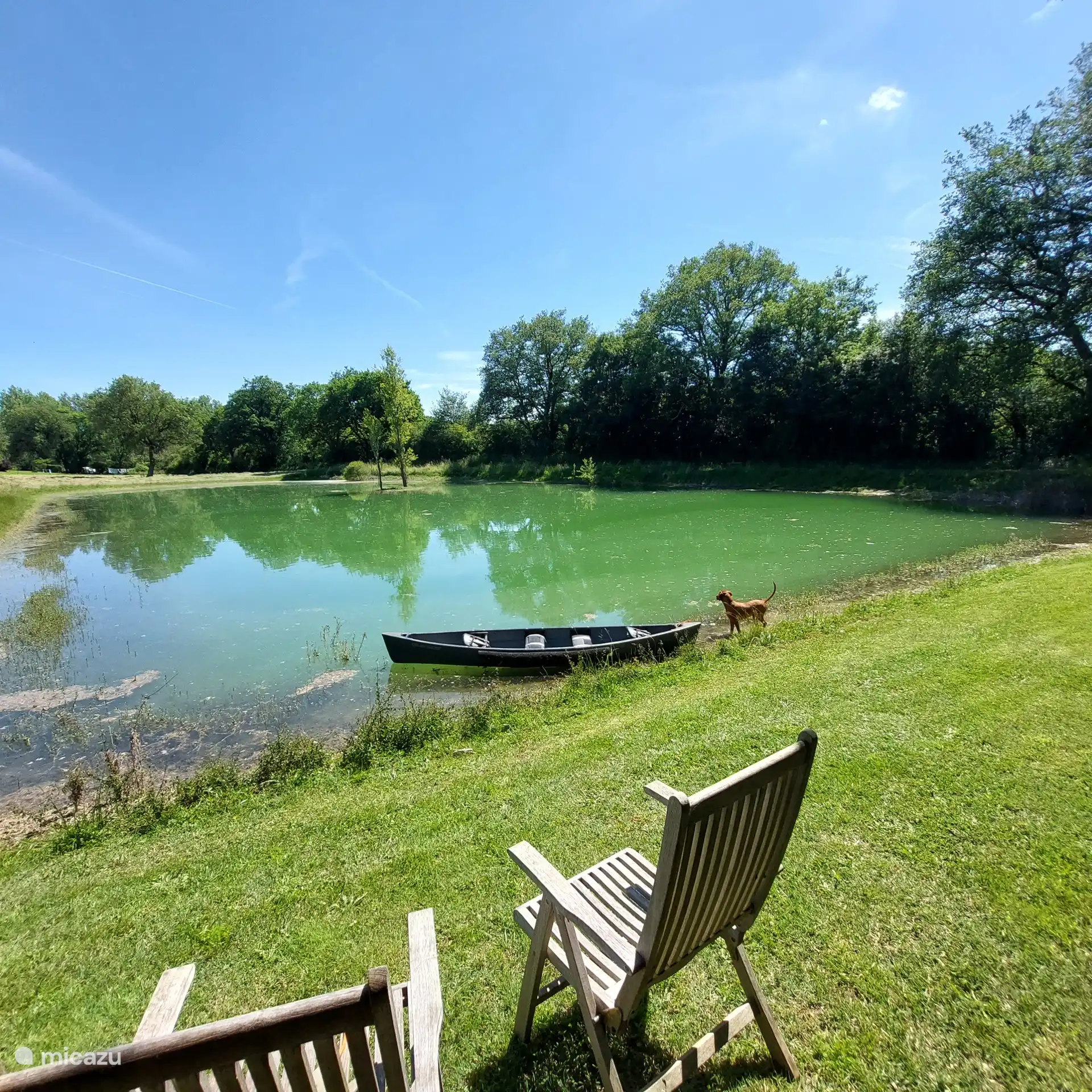 Fishing pond of 3000m2