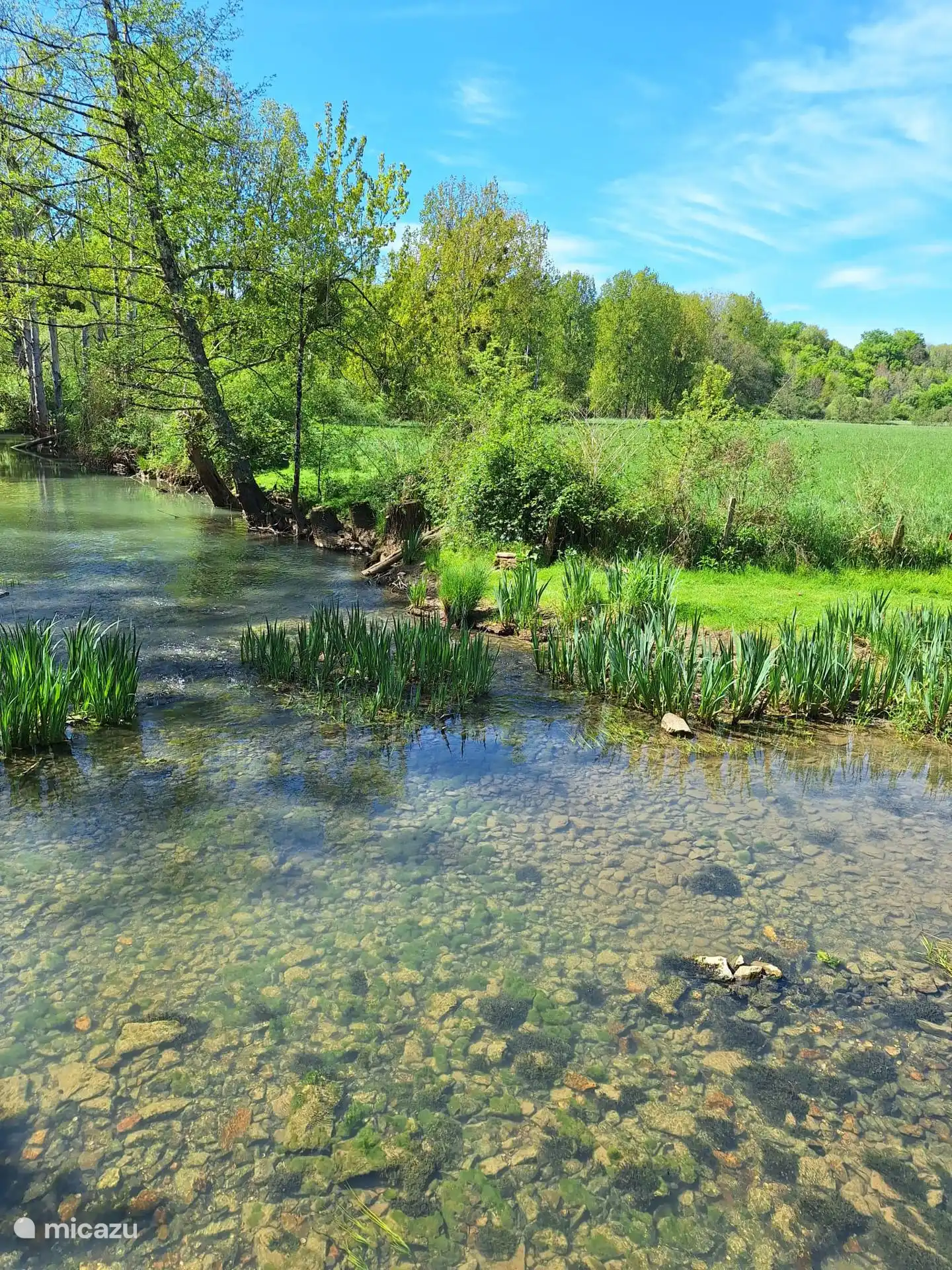 River Le Payroux that runs through the domain.