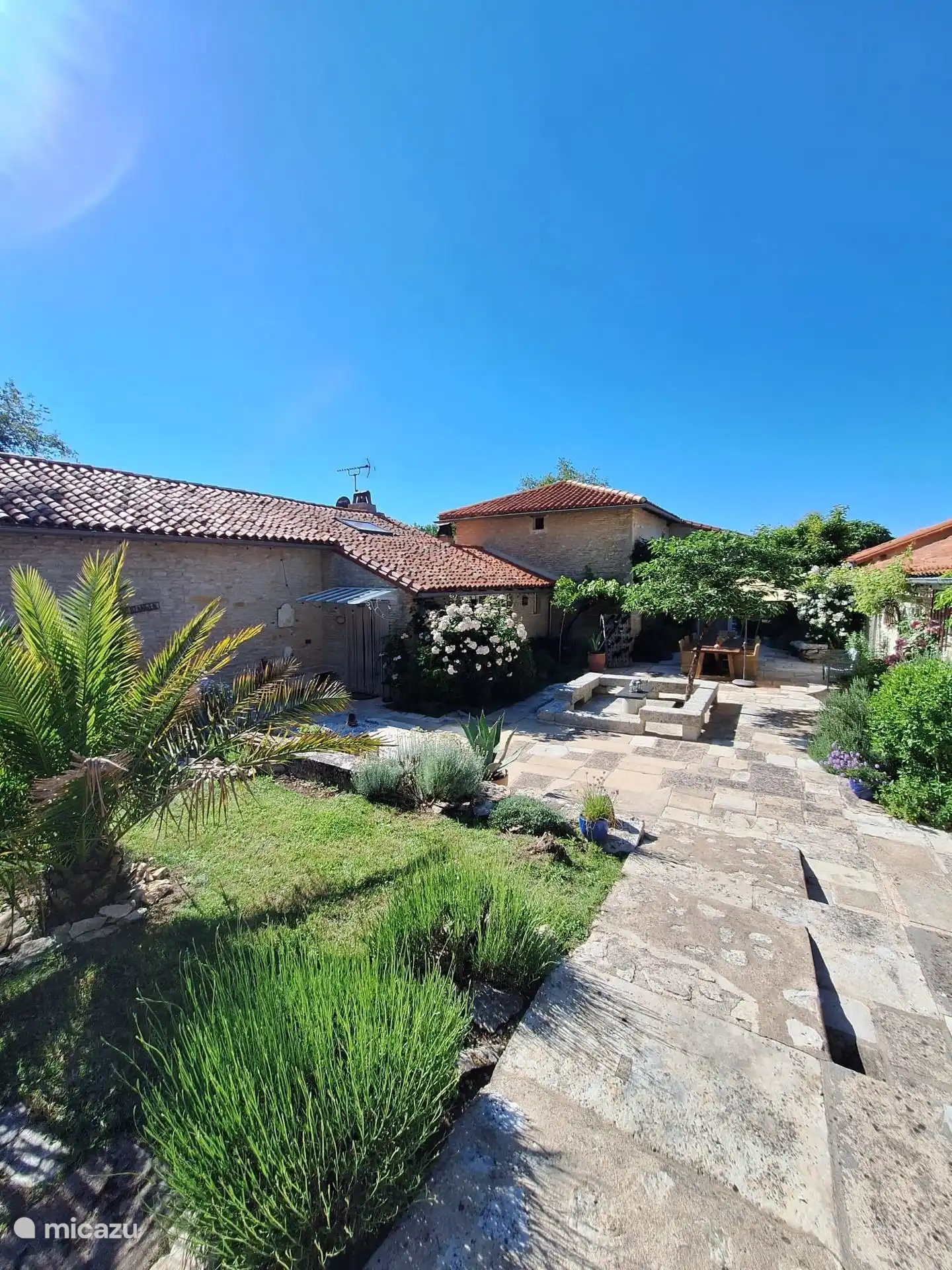 Southern Mediterranean courtyard