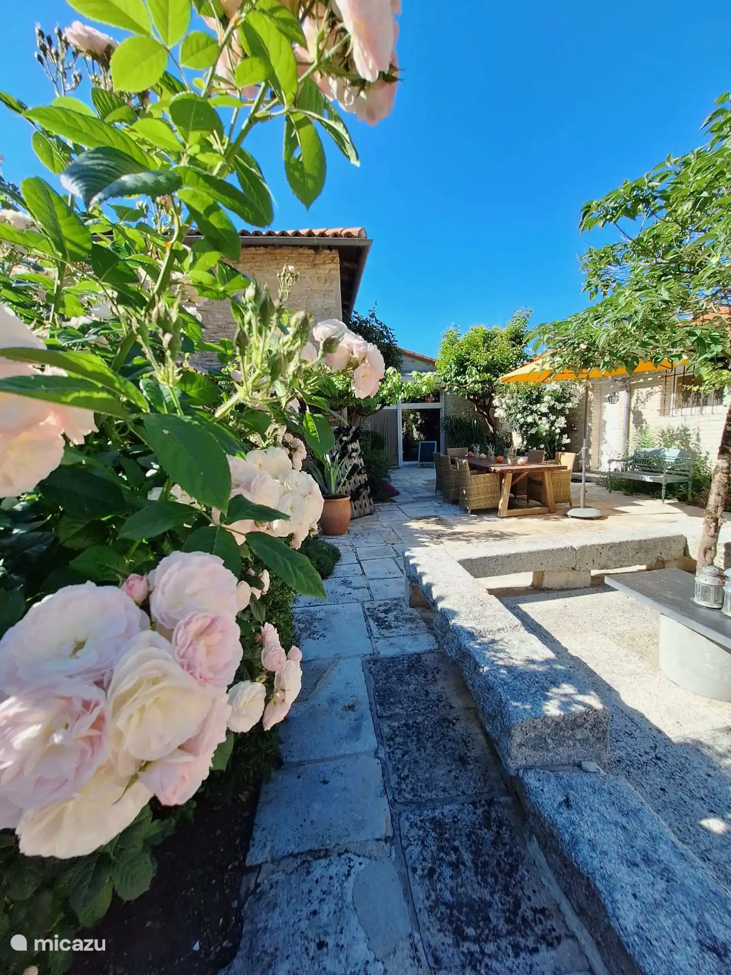 La cour méditerranéenne sud avec des roses parfumées et du jasmin