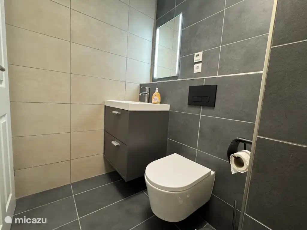 Badkamer met wastafels en toilet