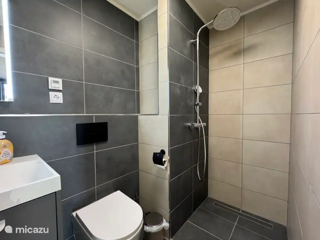 De kleine badkamer met douche en toilet
