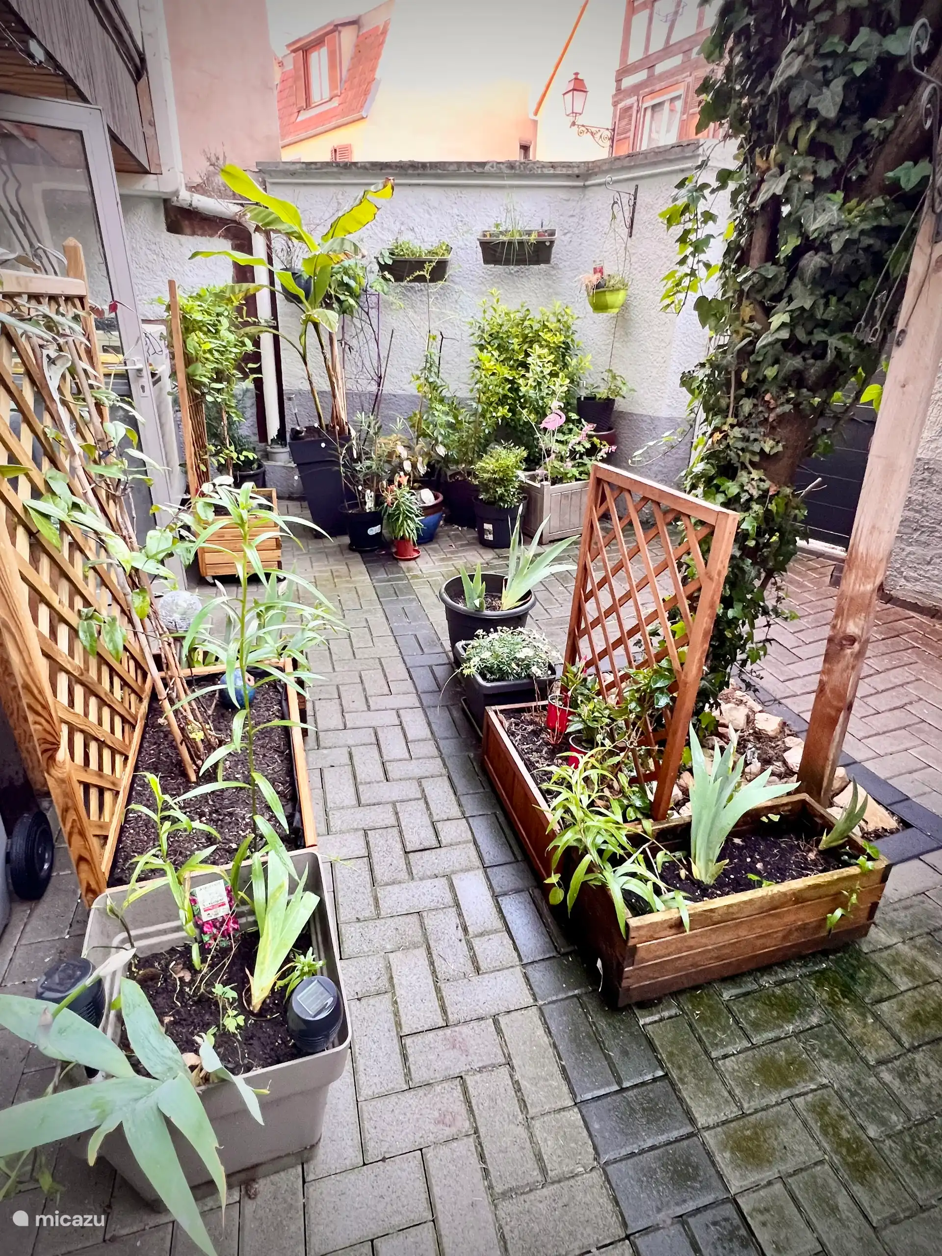 De met bloemen bevruchte binnenplaats 