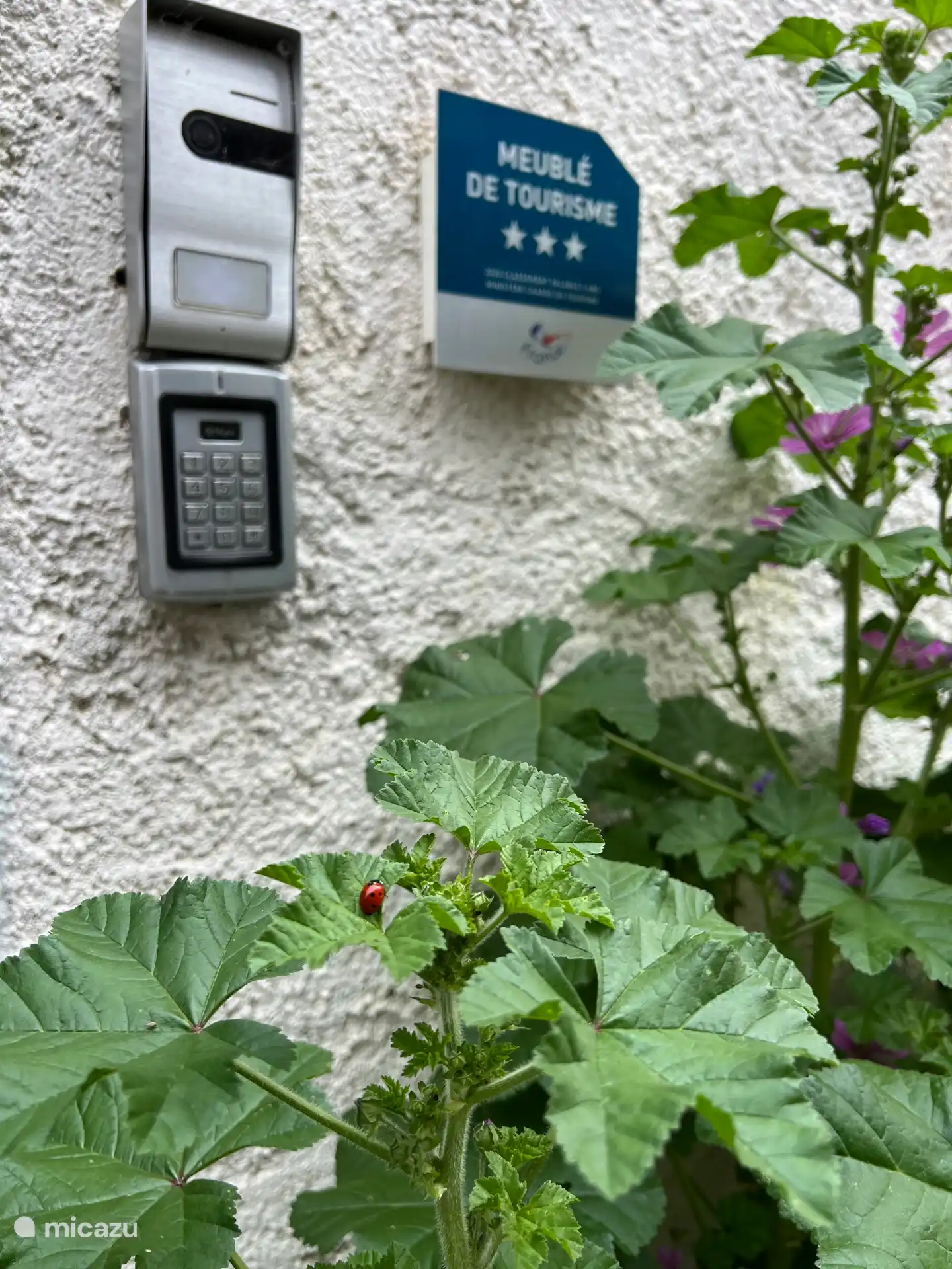 Zelfinchecken is mogelijk