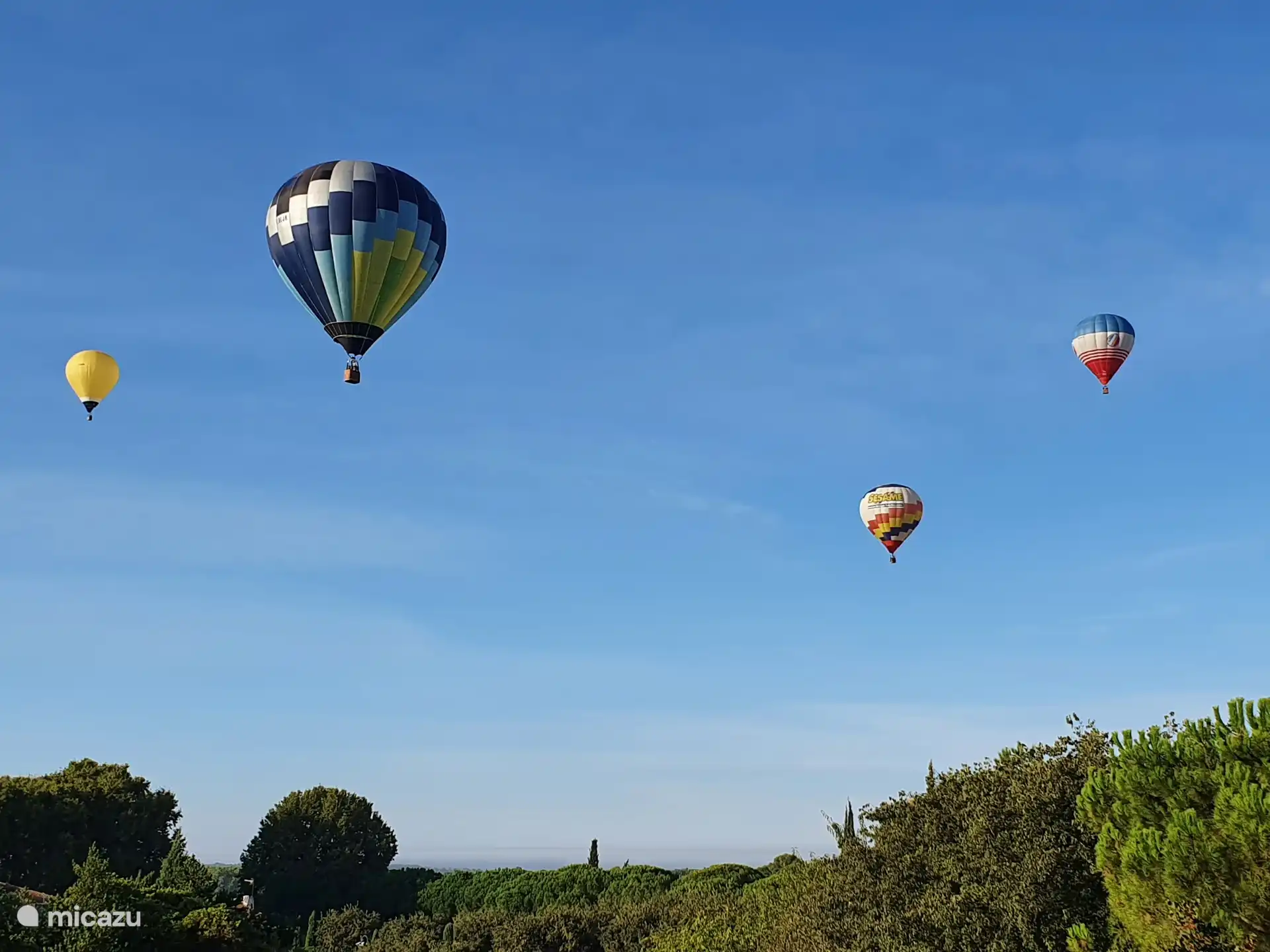 Globos aerostáticos al amanecer