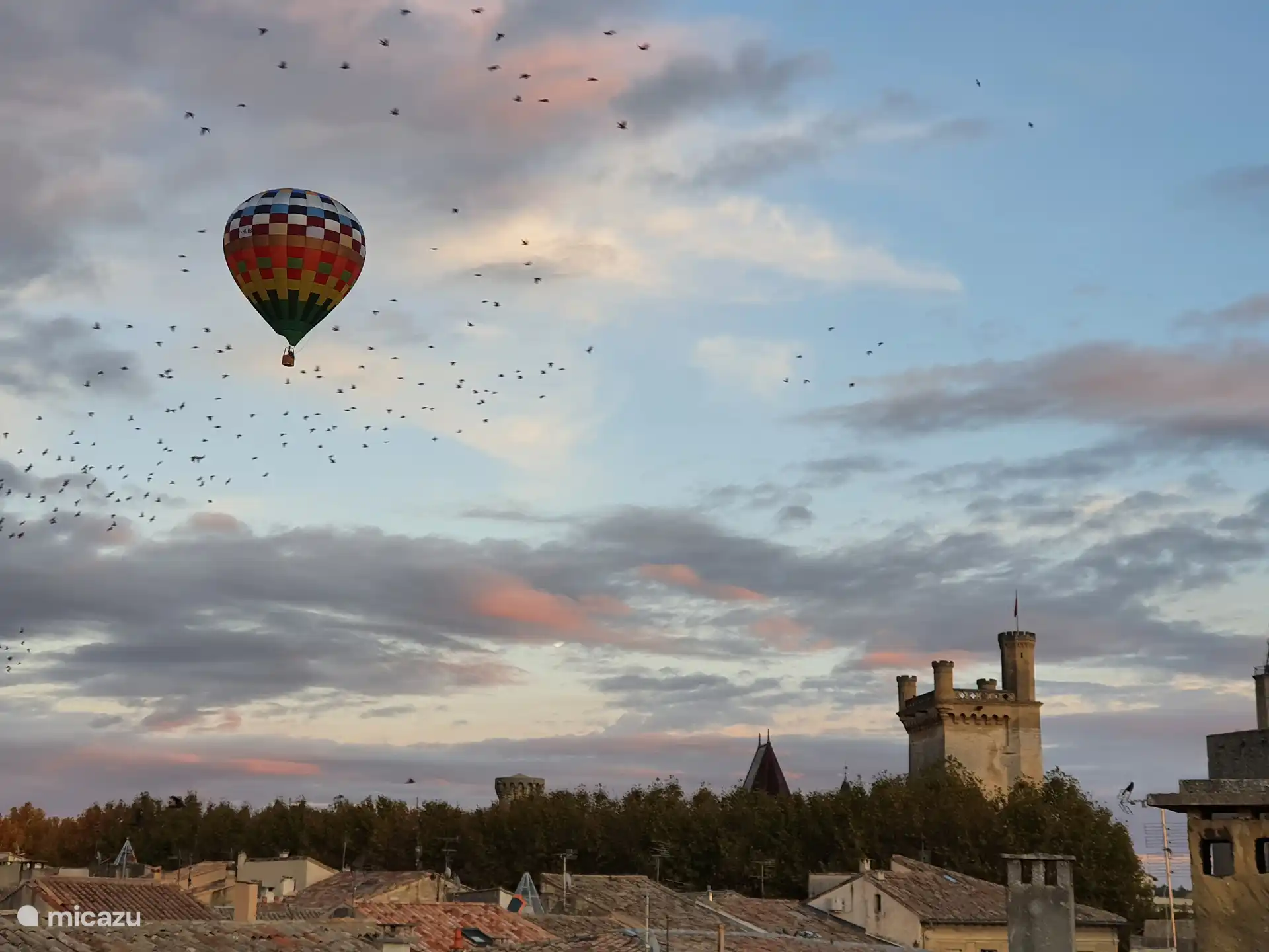 Vuelo de golondrinas