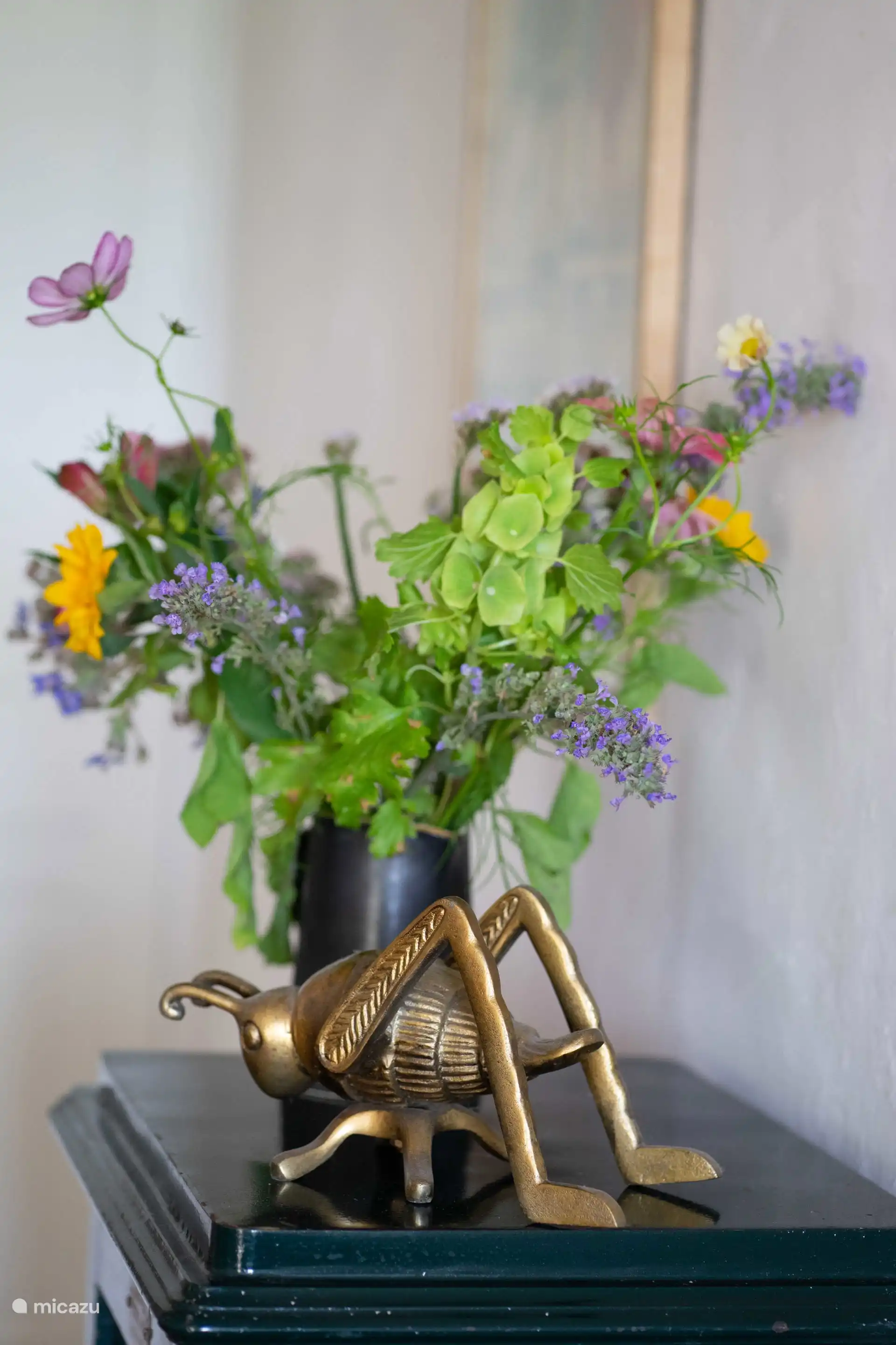 Flores de jardín y la cigarra