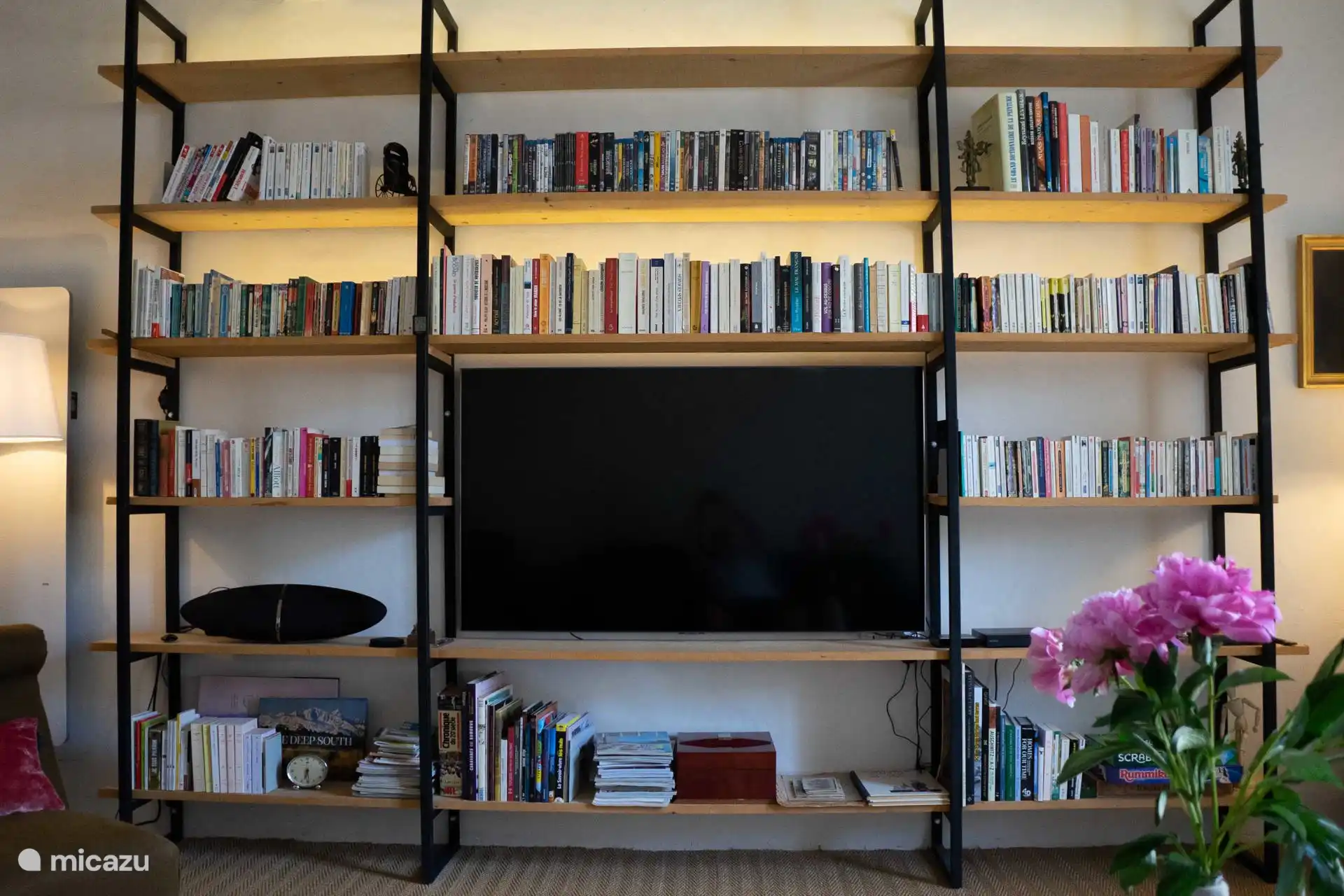 la biblioteca y la televisión en el salón