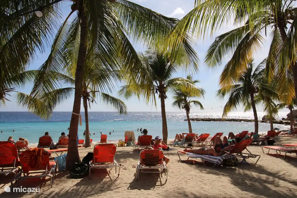 One of the five most beautiful Caribbean beaches according to Huffington Post. Sunbeds are free for customers!