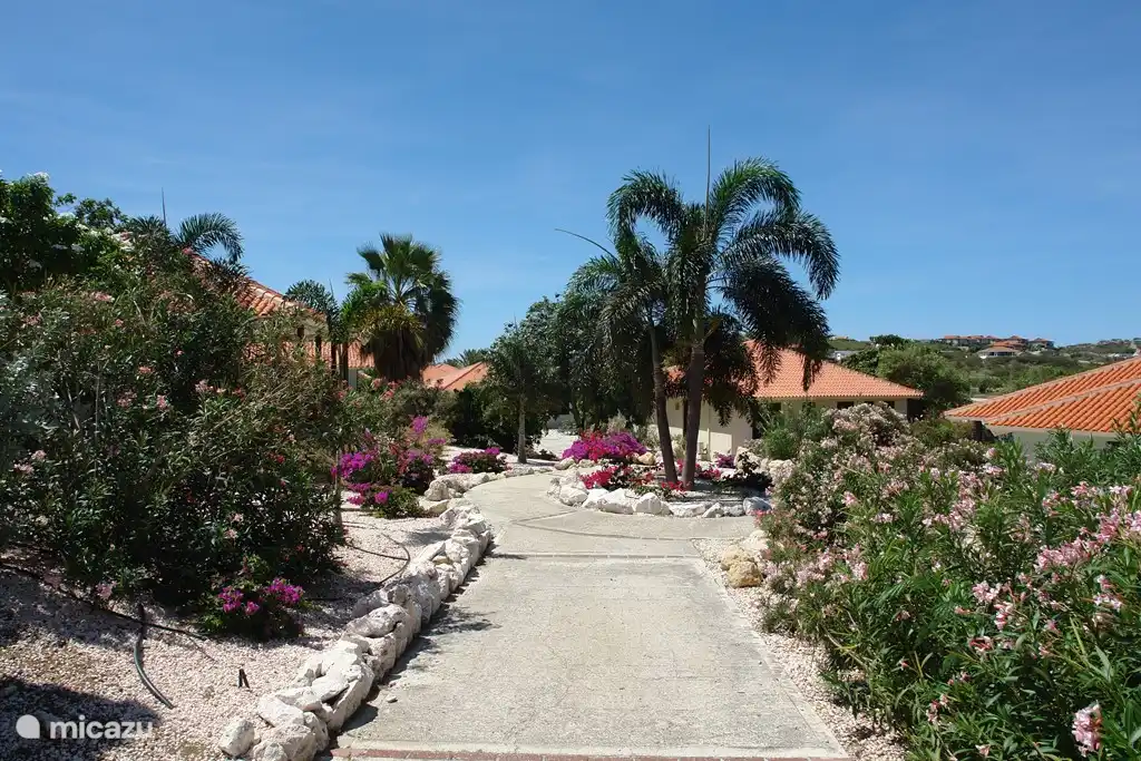 On the way to walk the 100m distance swimming ...