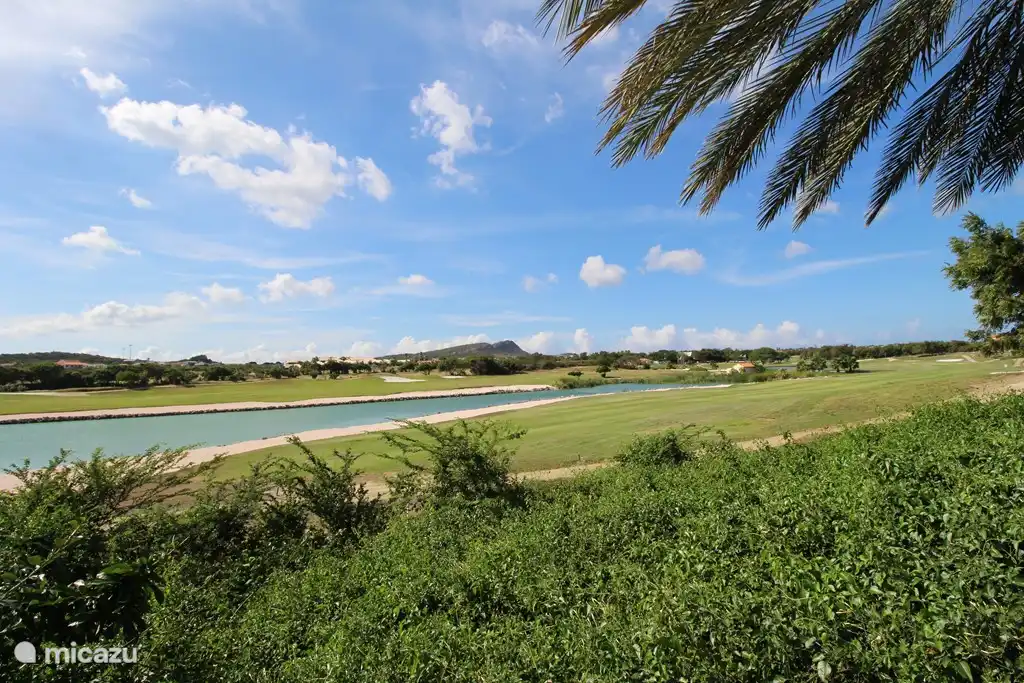 Overlooking golf course and pond with flamingos and pelicans