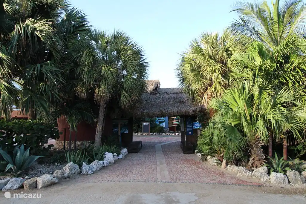 Beach access 50 meters away from your villa