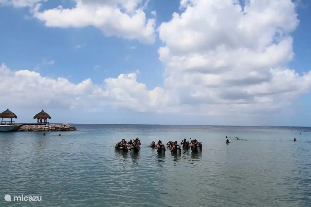 Diving course at Blue Bay, including children.