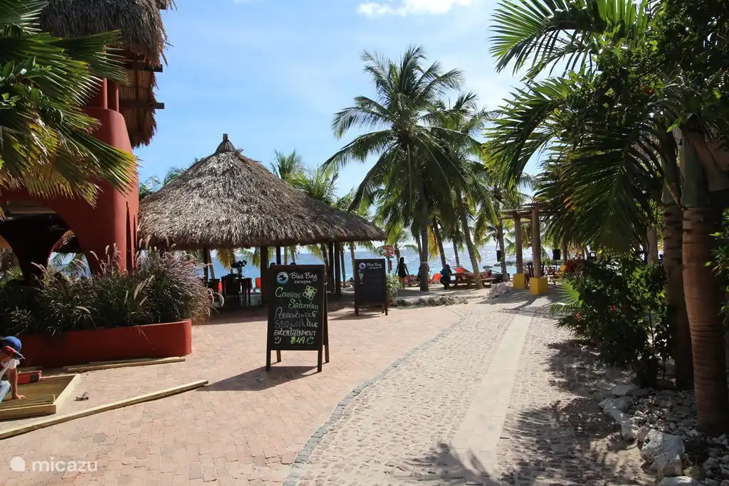 Restaurant at the beach serves from breakfast to dinner
