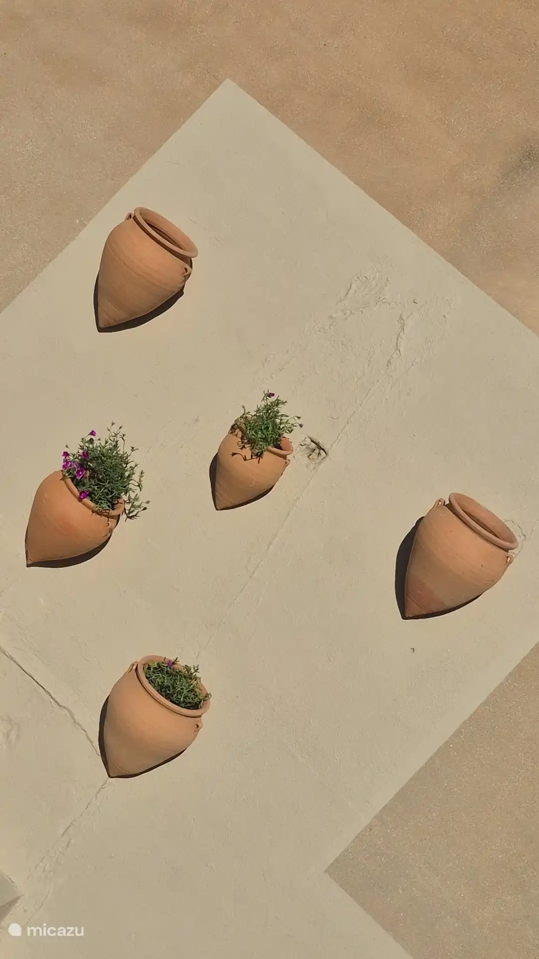 Grande terrasse ensoleillée sur le toit 