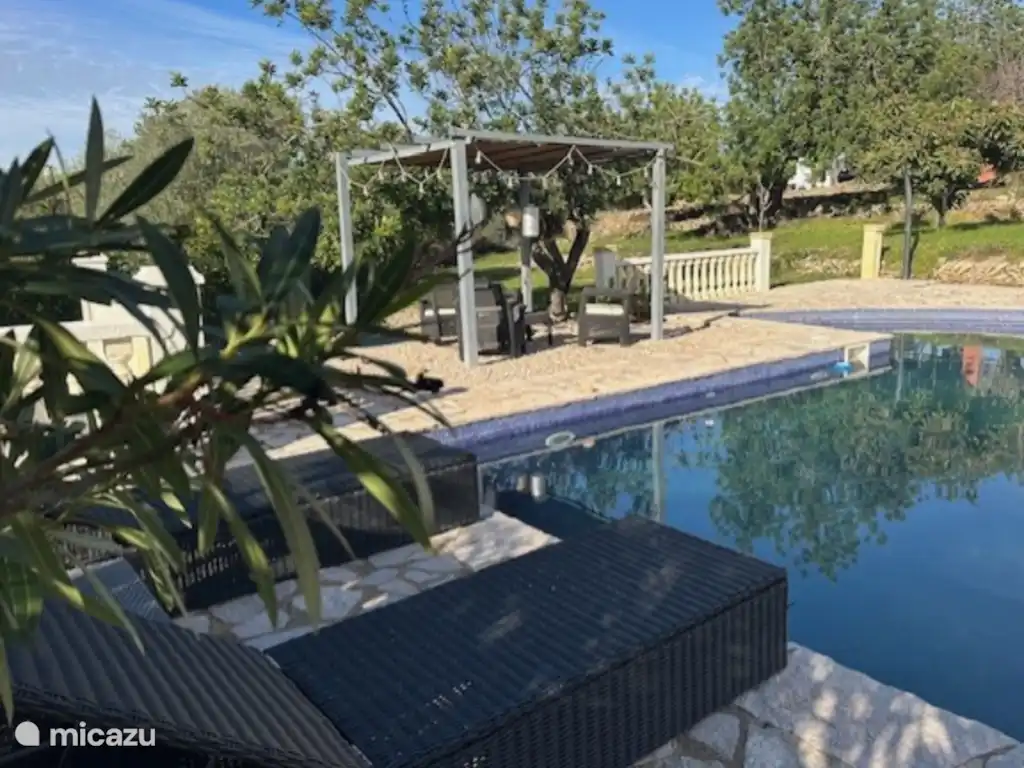 That calls for a dive, right?