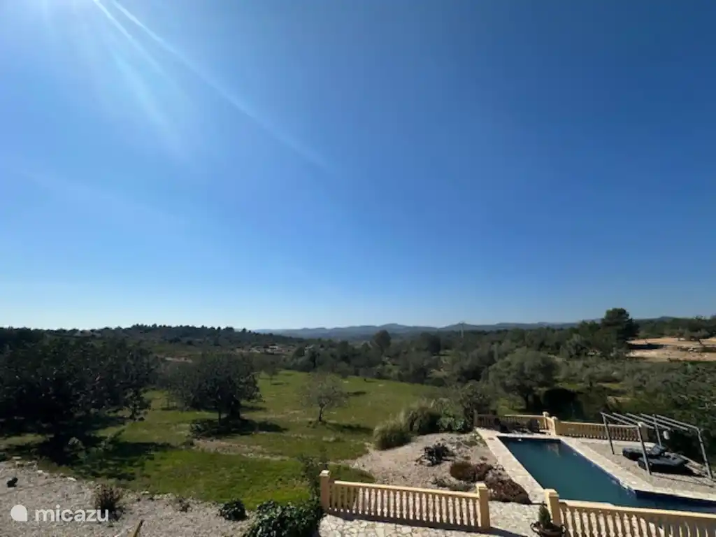 The garden that you can look at every morning!