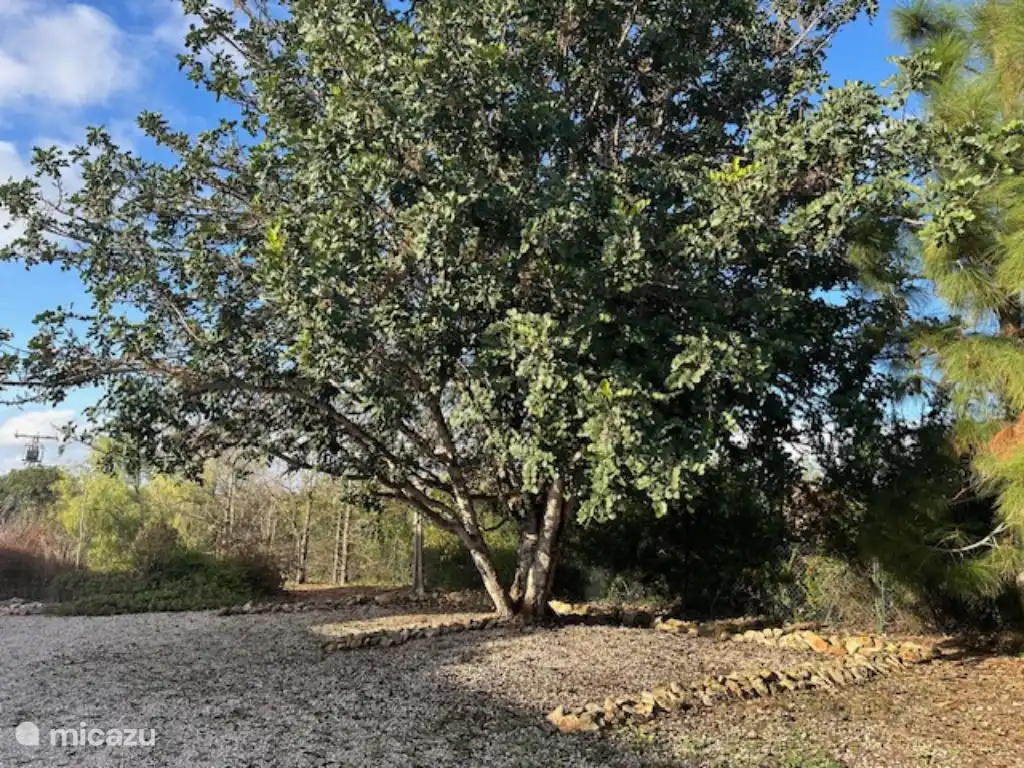 Parking is safe in your own parking space within the fenced area. 