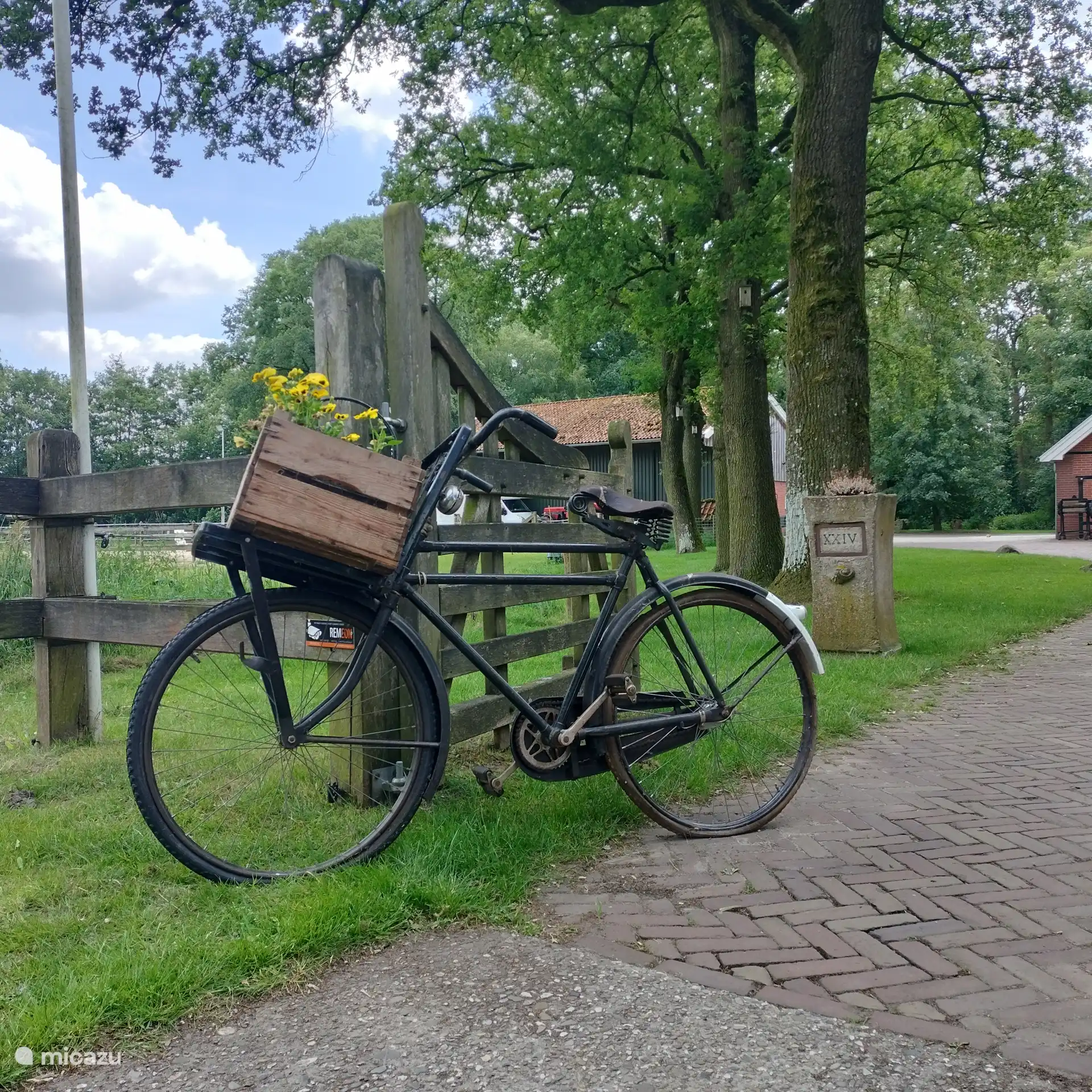 Welcome to Erve Braakman