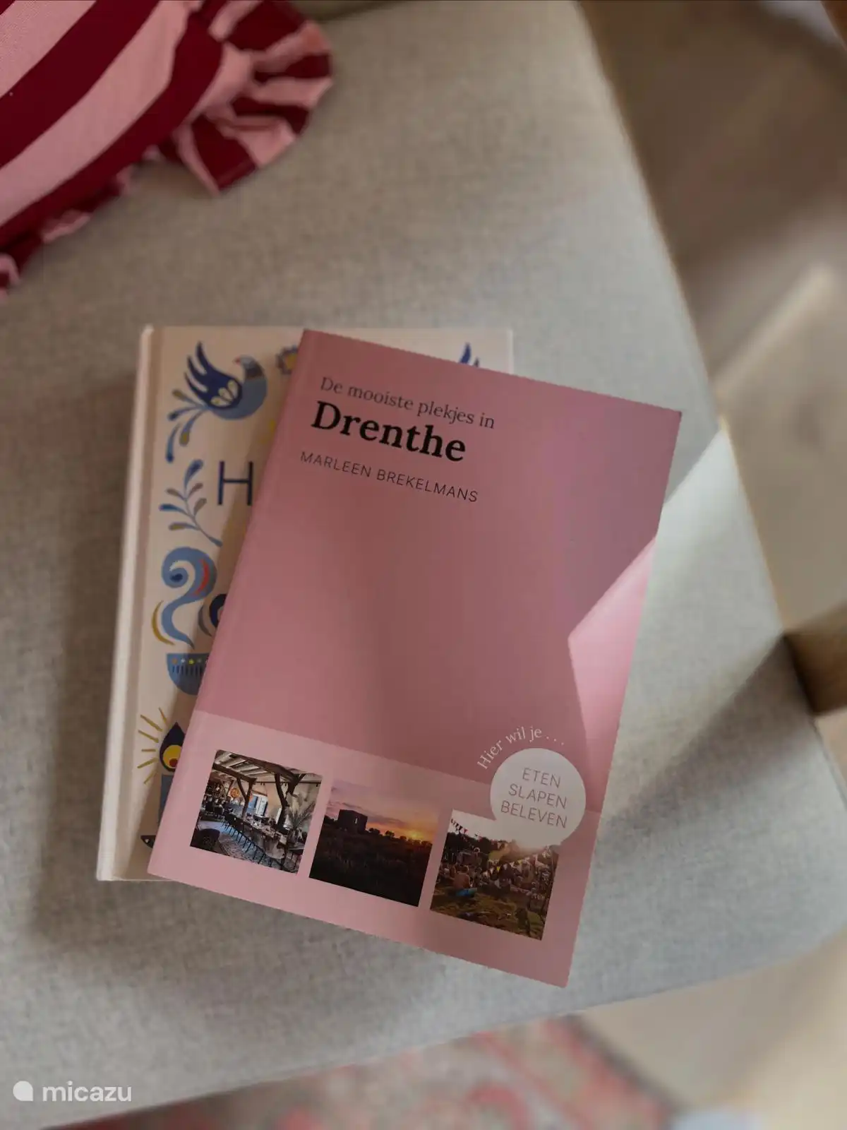 Leesboeken zijn aanwezig (Nederlandse taal).