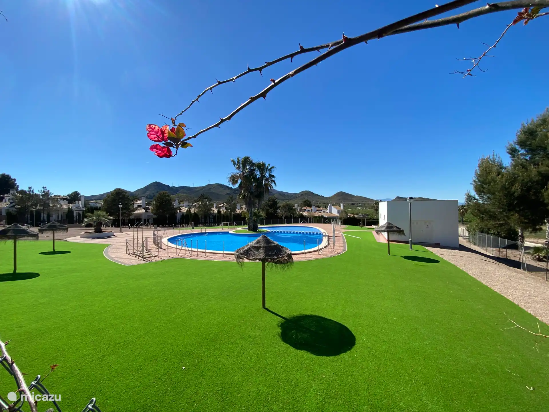 Gezamenlijke zwembad