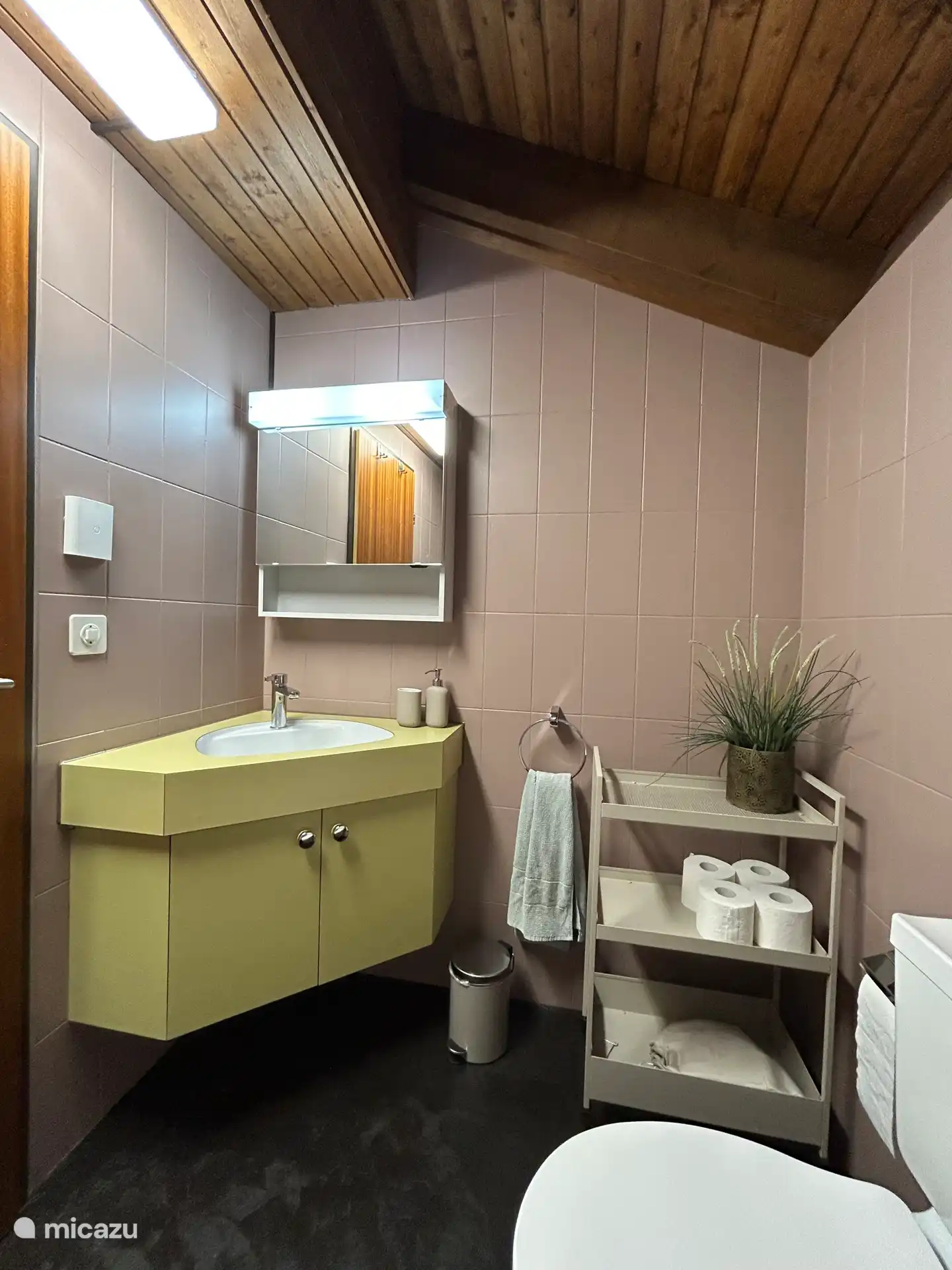 Fotografiado desde la cabina de ducha, puedes ver el lavabo con el armario espejo aquí.