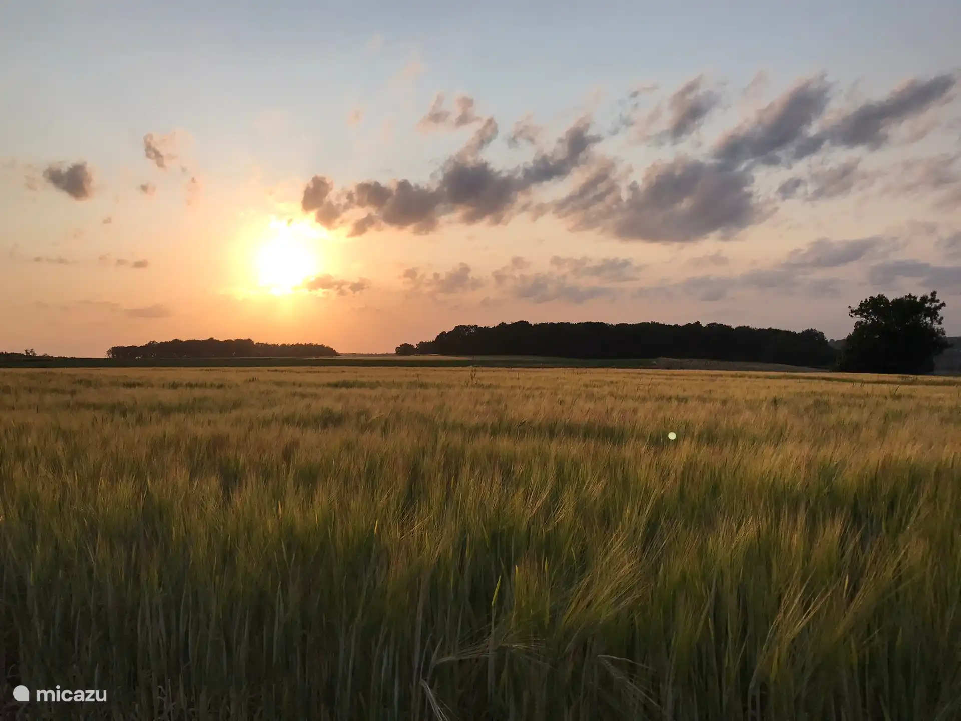 Abendspaziergang