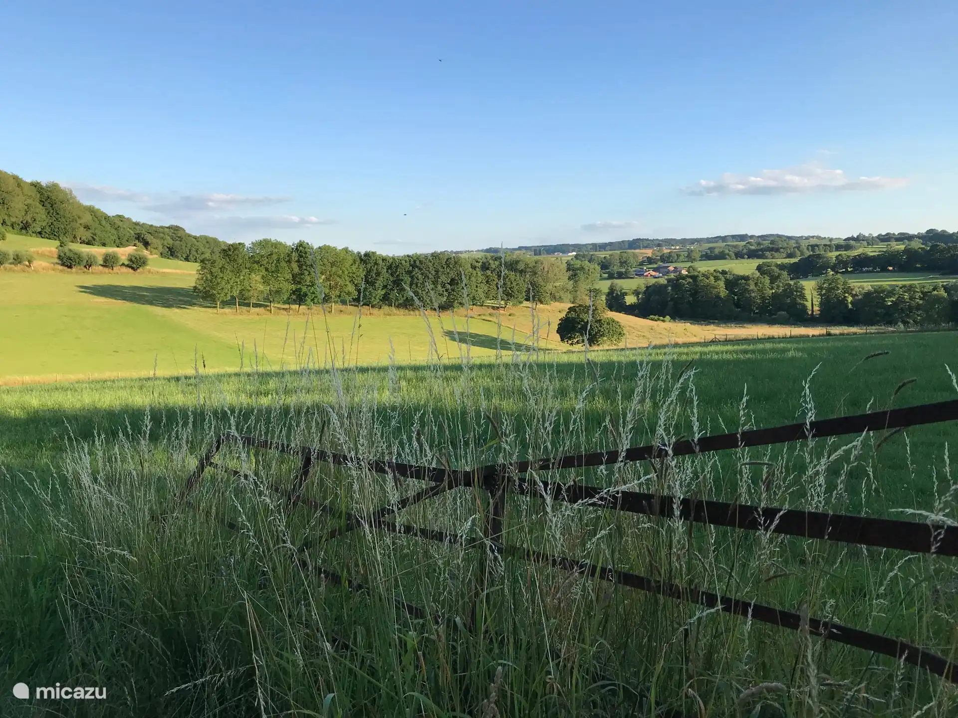 Blick vom Loorberg