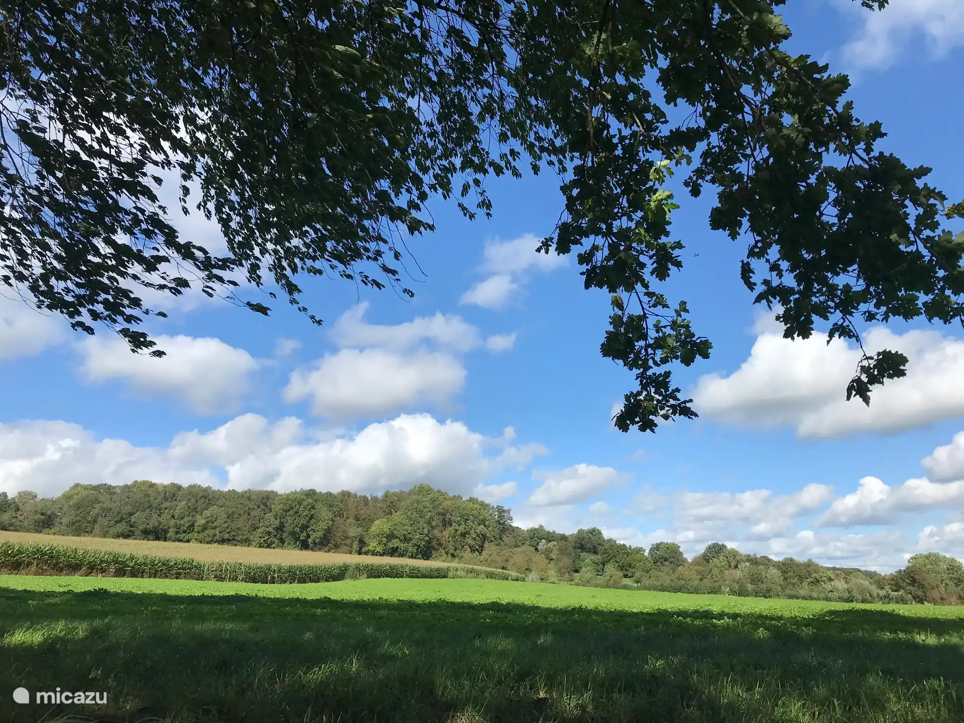 Umgebung