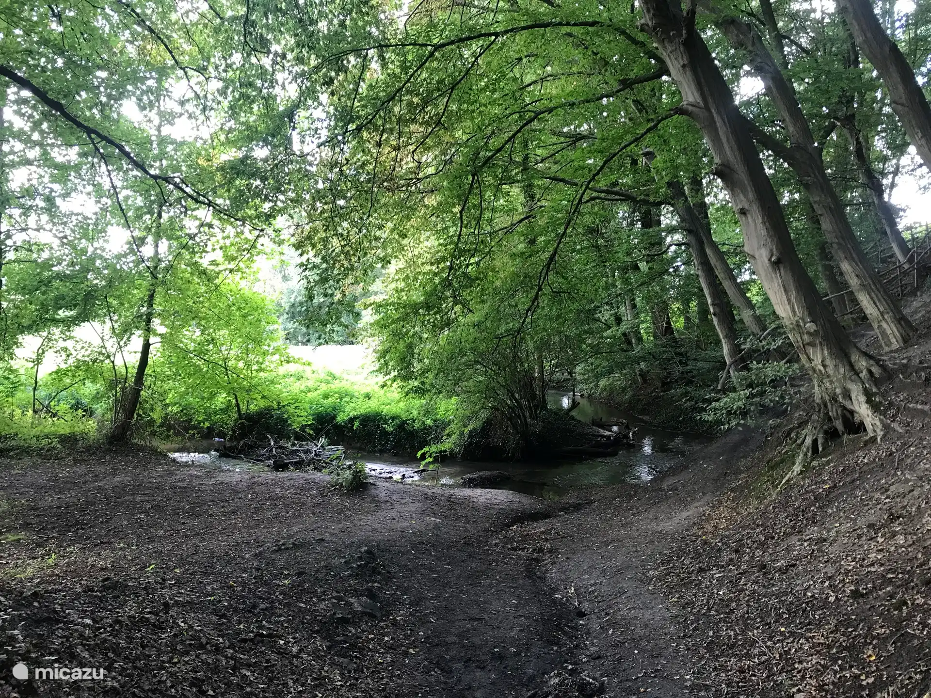 Wald in Richtung Teuven