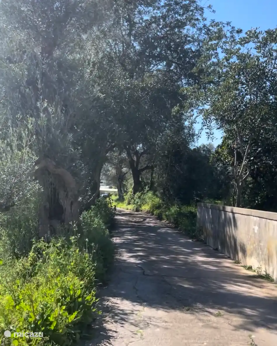 C’est notre rue, notre maison est presque au bout de cette impasse. 
